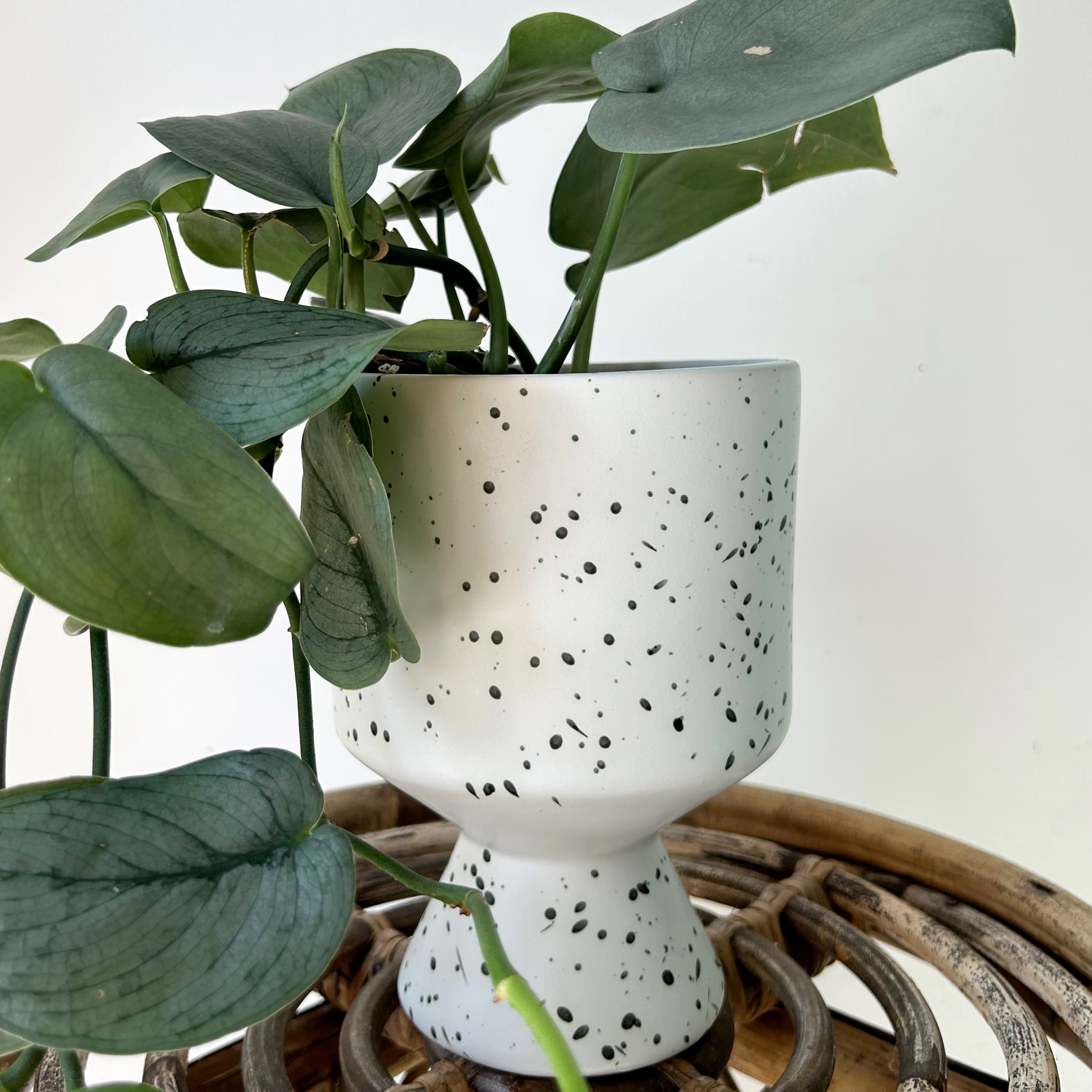 DEVILLE Decorative raised Speckled Pot (4.25”x6.25”)