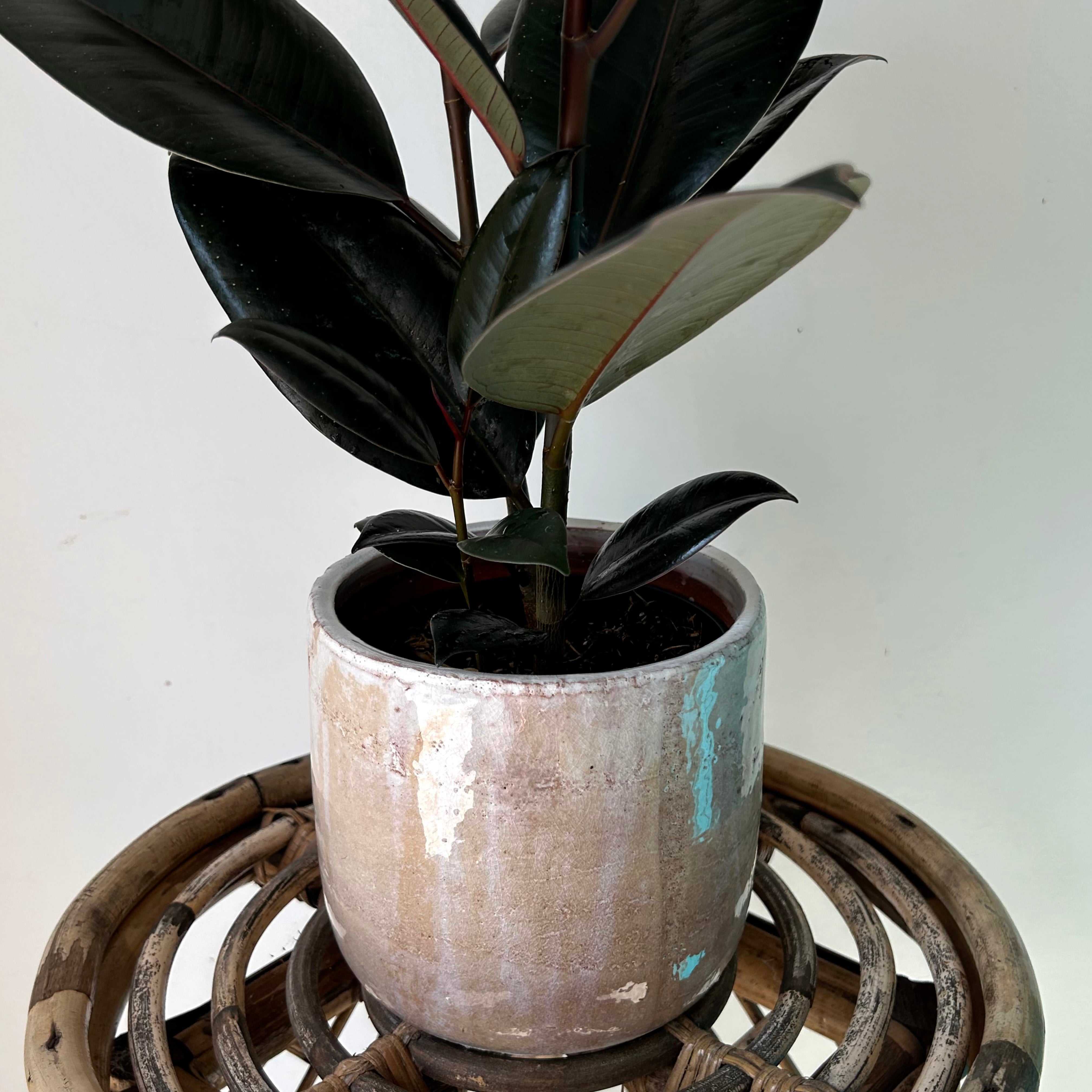 LUCA Decorative Ceramic Pot (5”x5”)CARAMEL