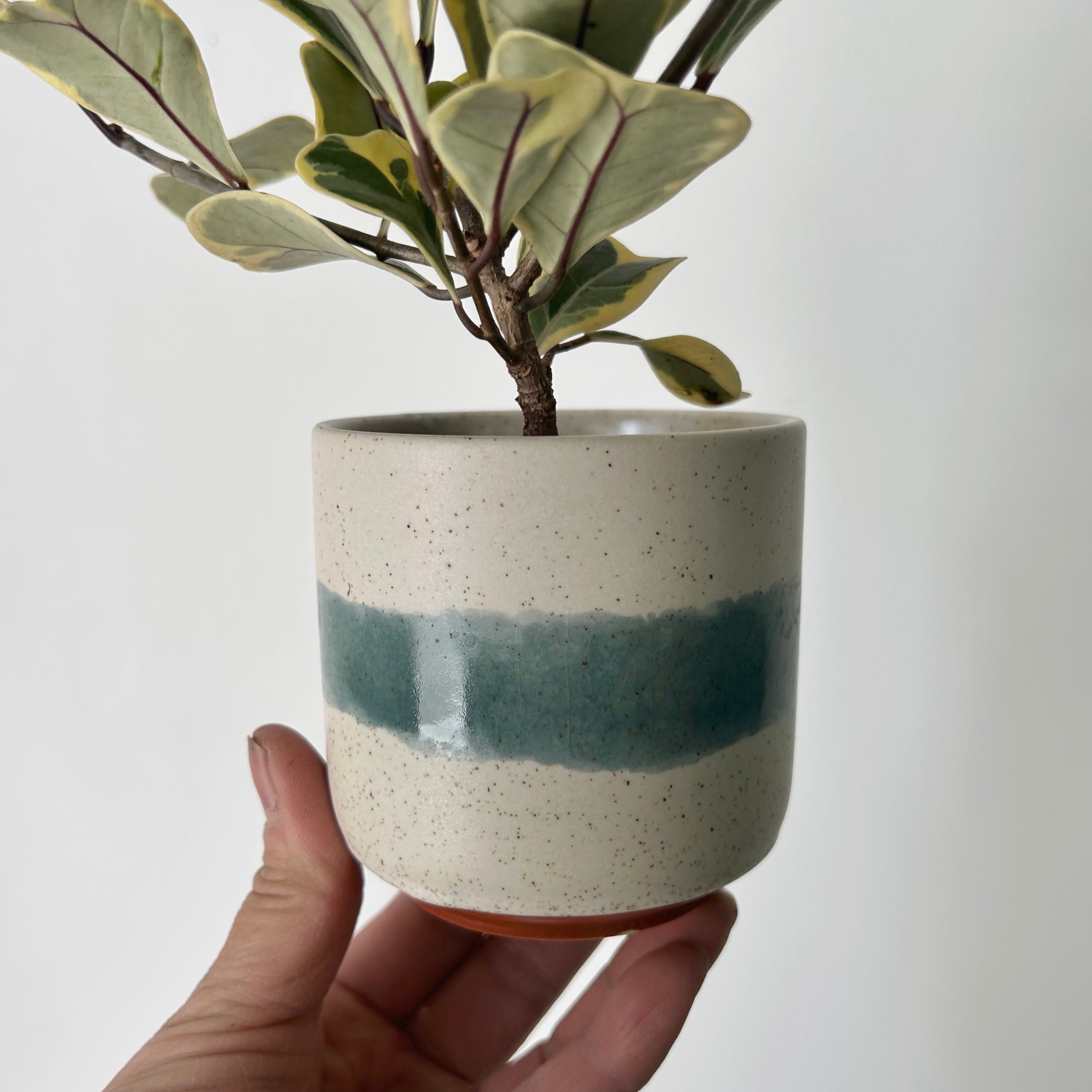 MATEO decorative pot (3”x3”)