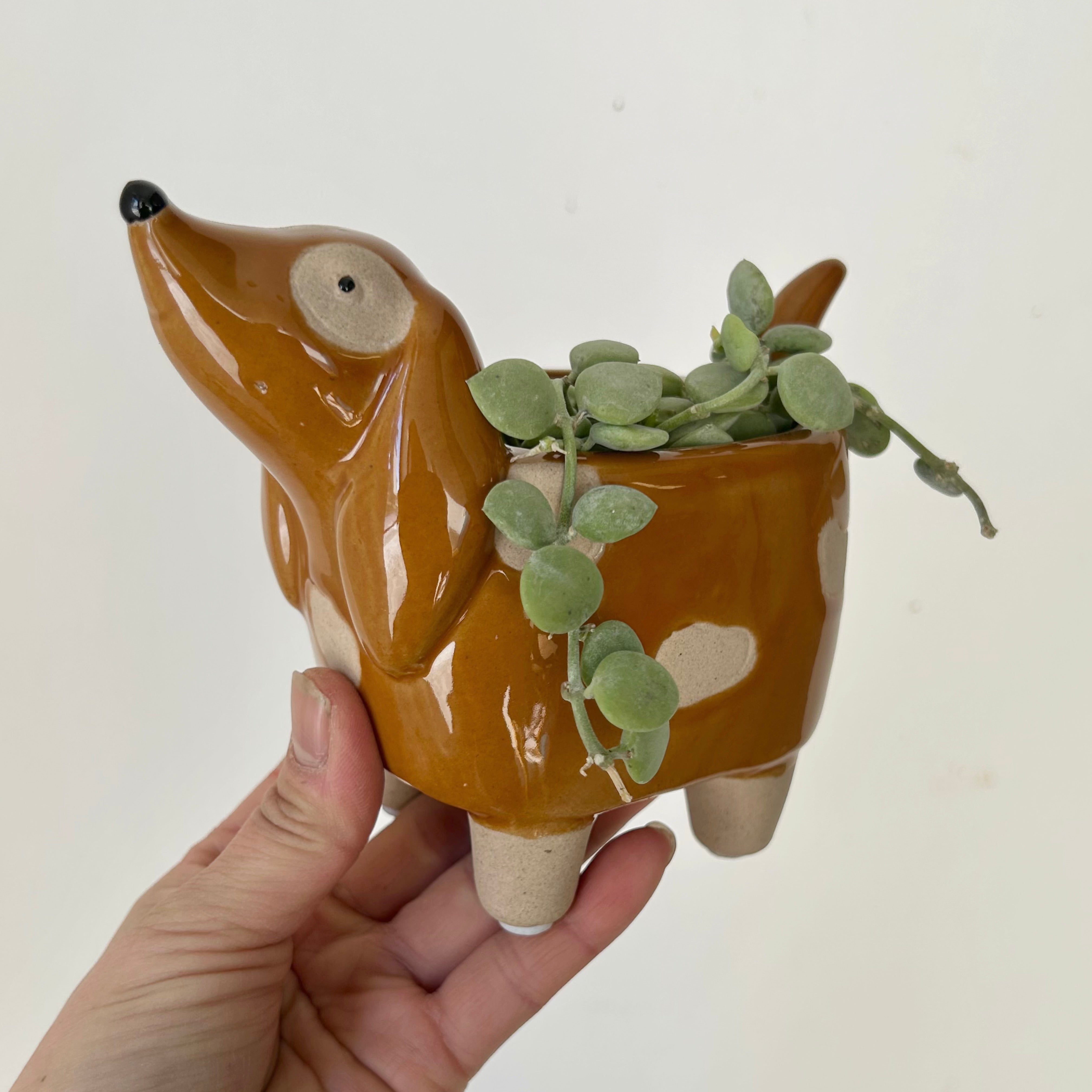 Spotted Dog Decorative Pot (2.5”x2.5”)