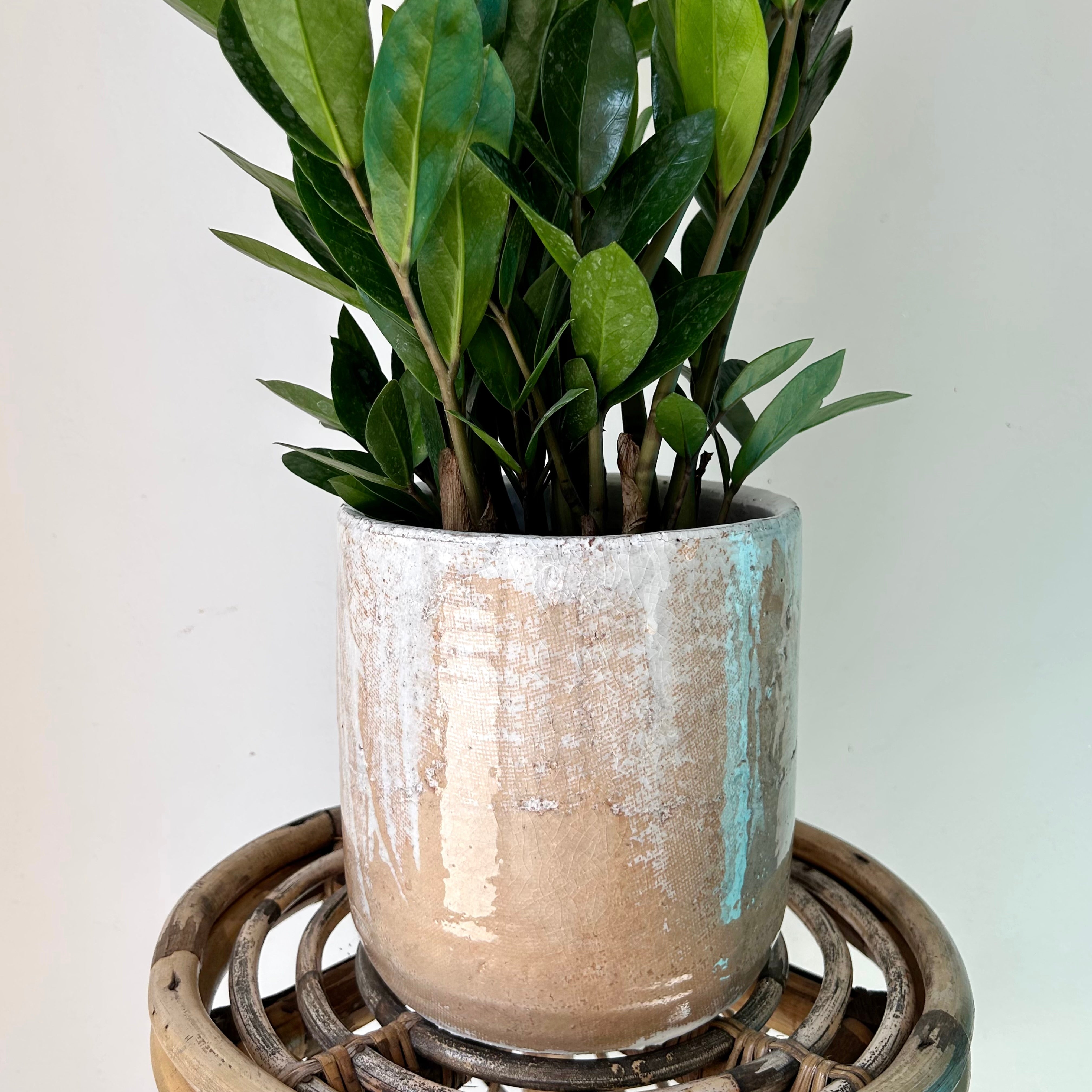 LUCA Decorative Ceramic Pot (6”x7”) CARAMEL