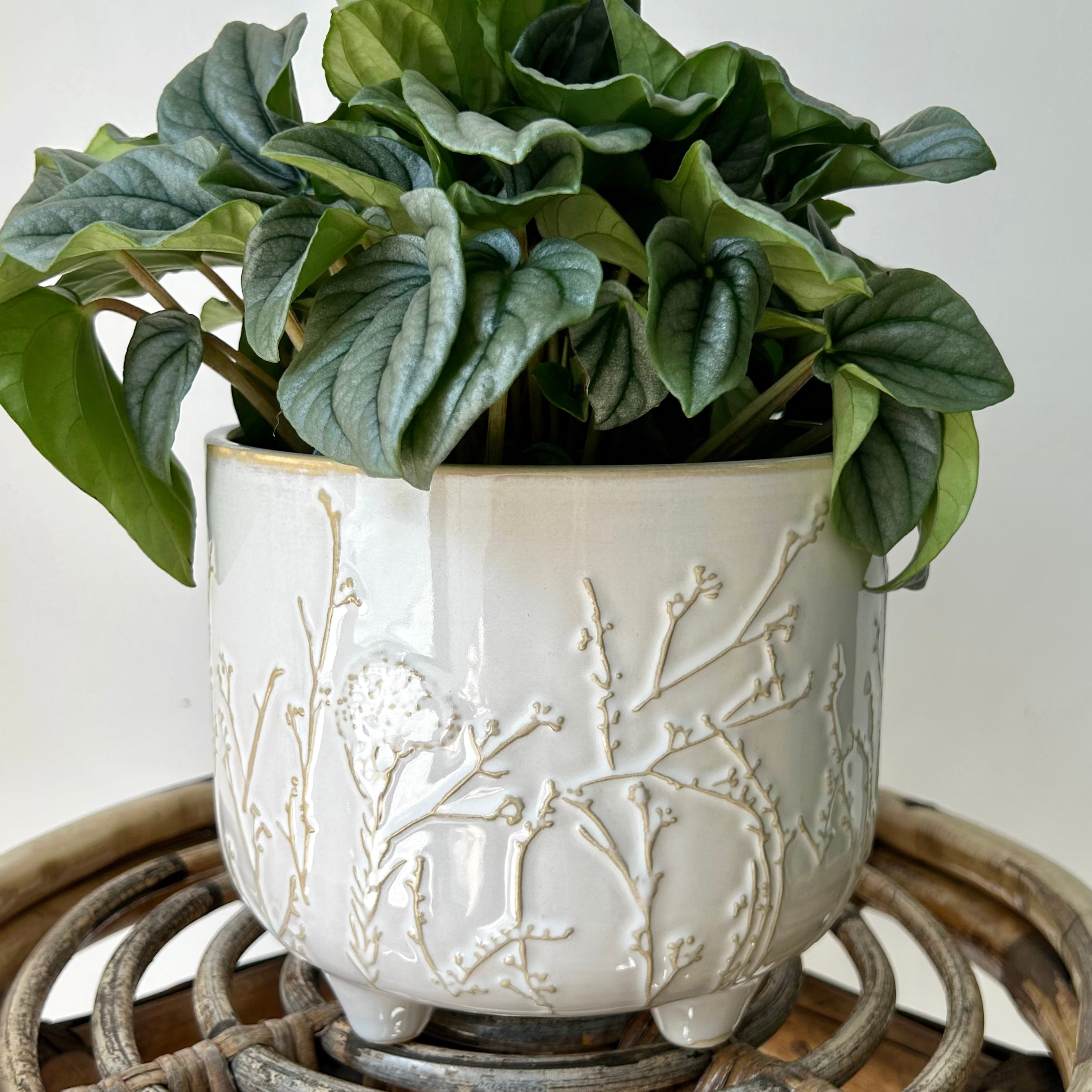 EMMY Decorative Pot (6”x4.25”)