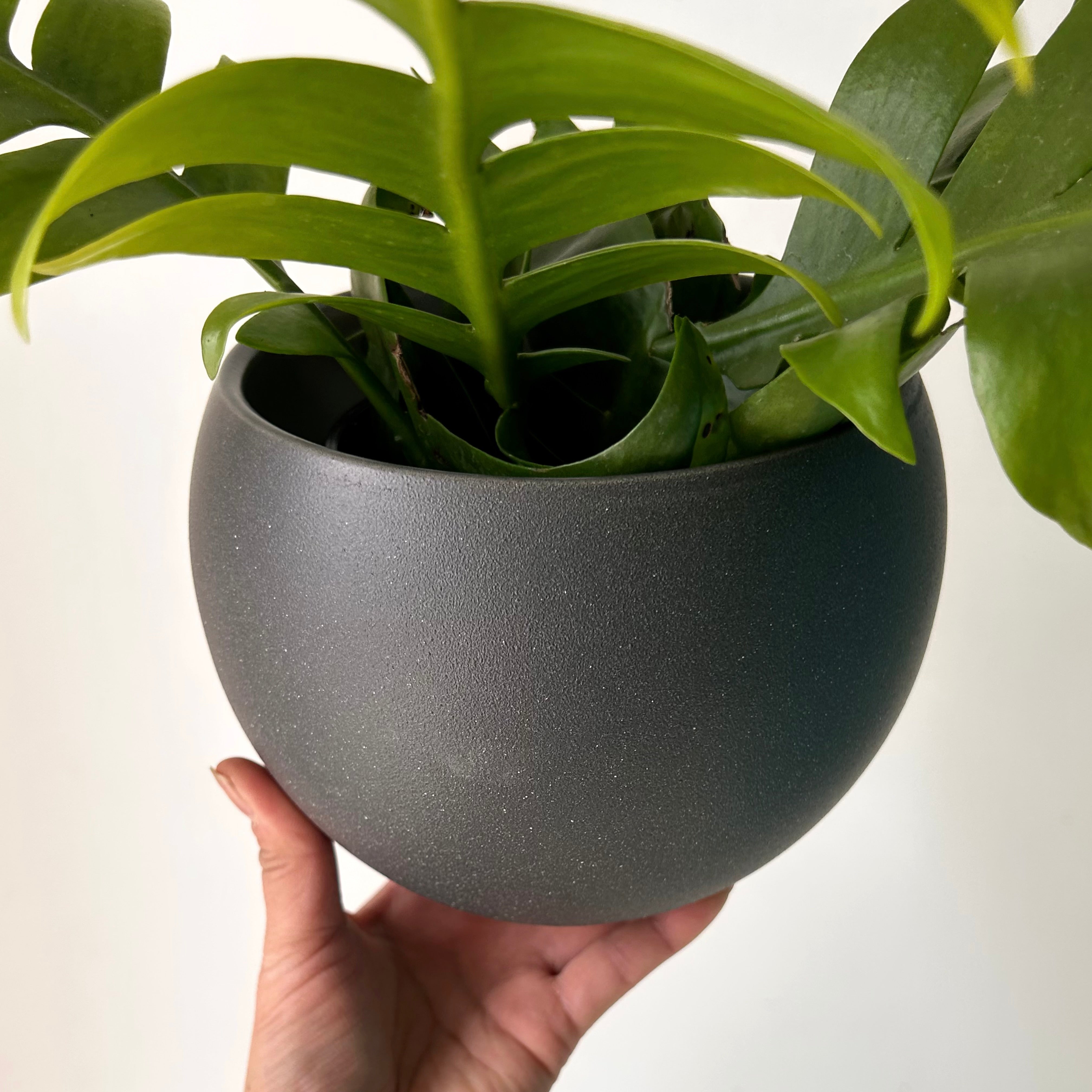 SHILOH Decorative Pot (5.75”x5.5”)textured Graphite