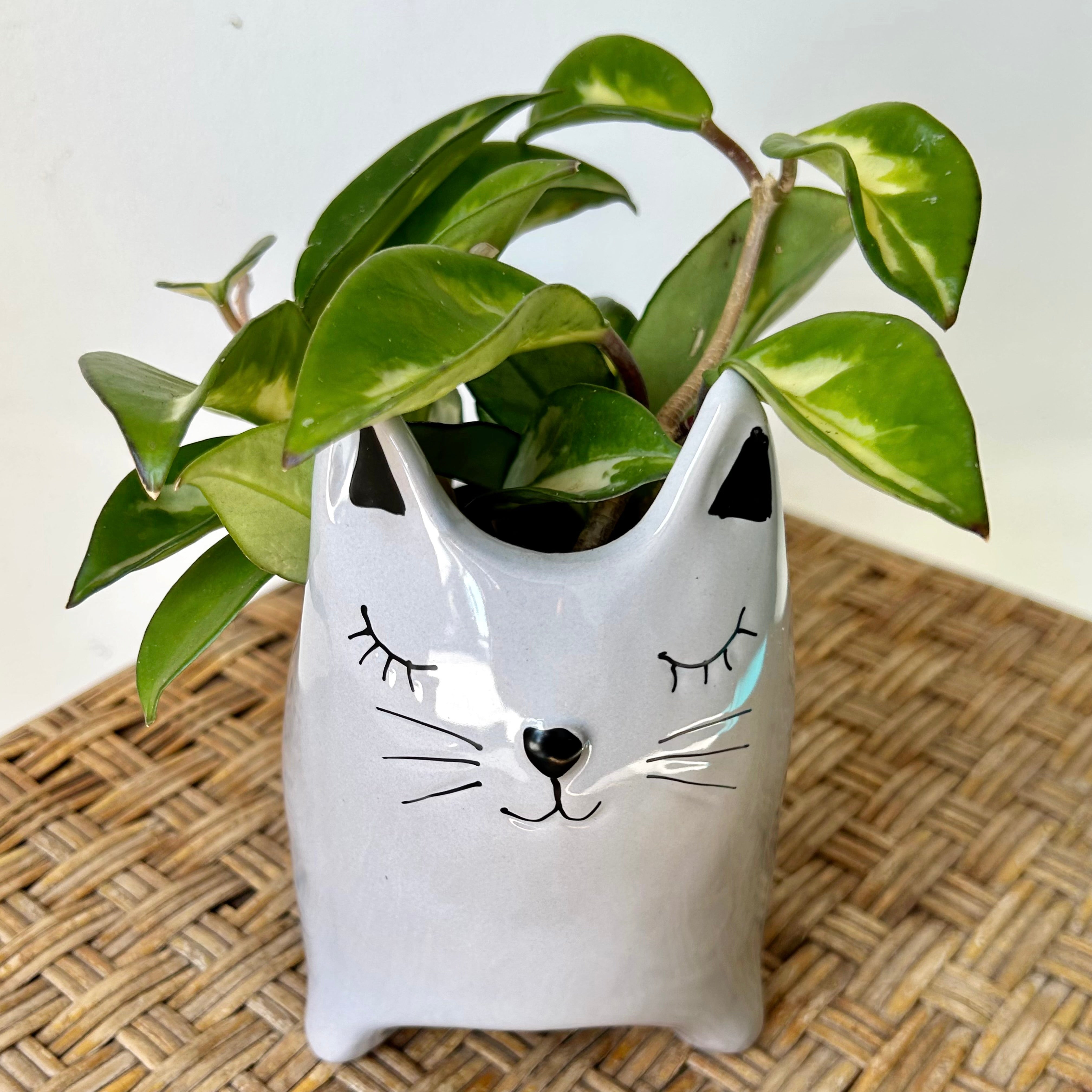 Decorative Kitten Ceramic Planter (3”x3”)