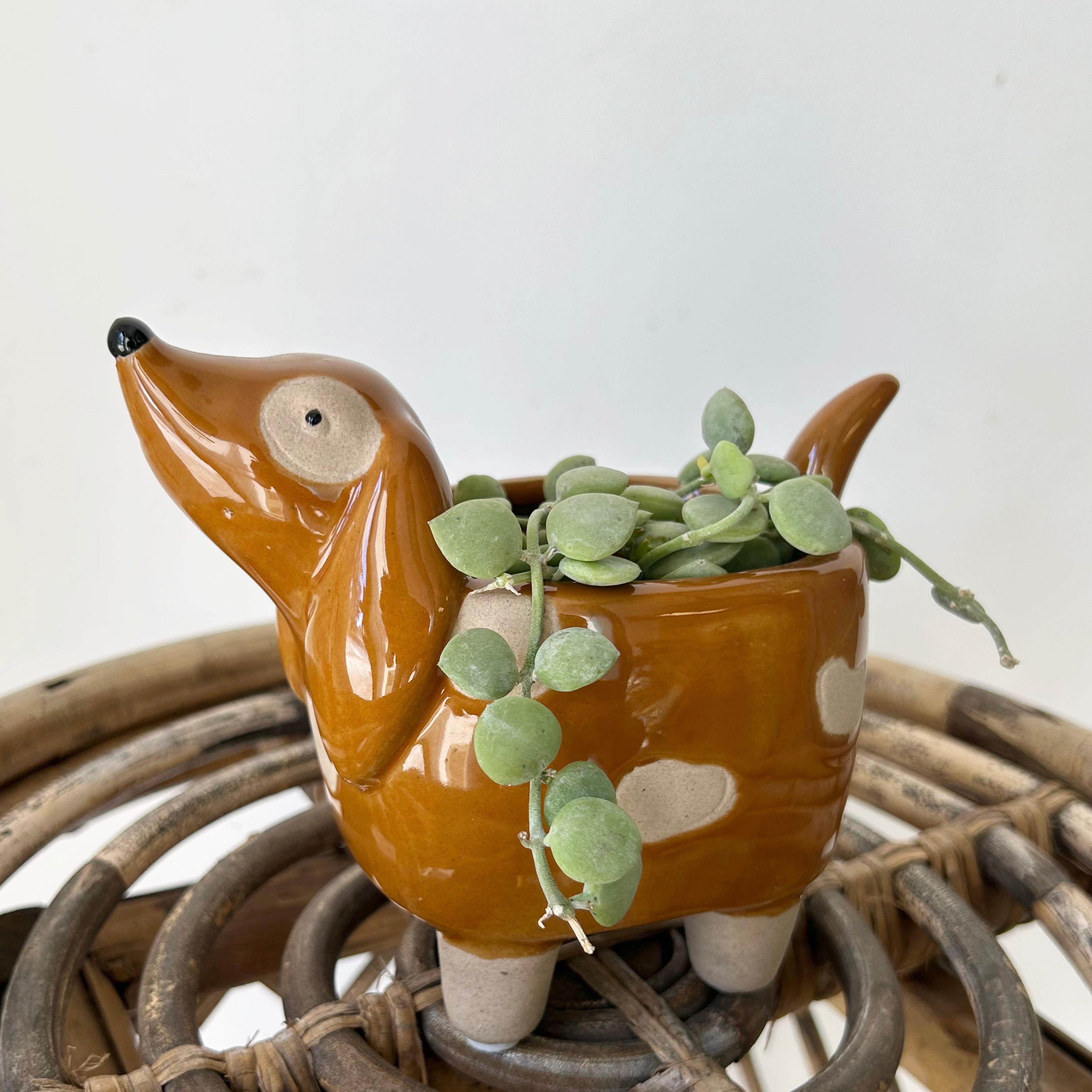 Spotted Dog Decorative Pot (2.5”x2.5”)
