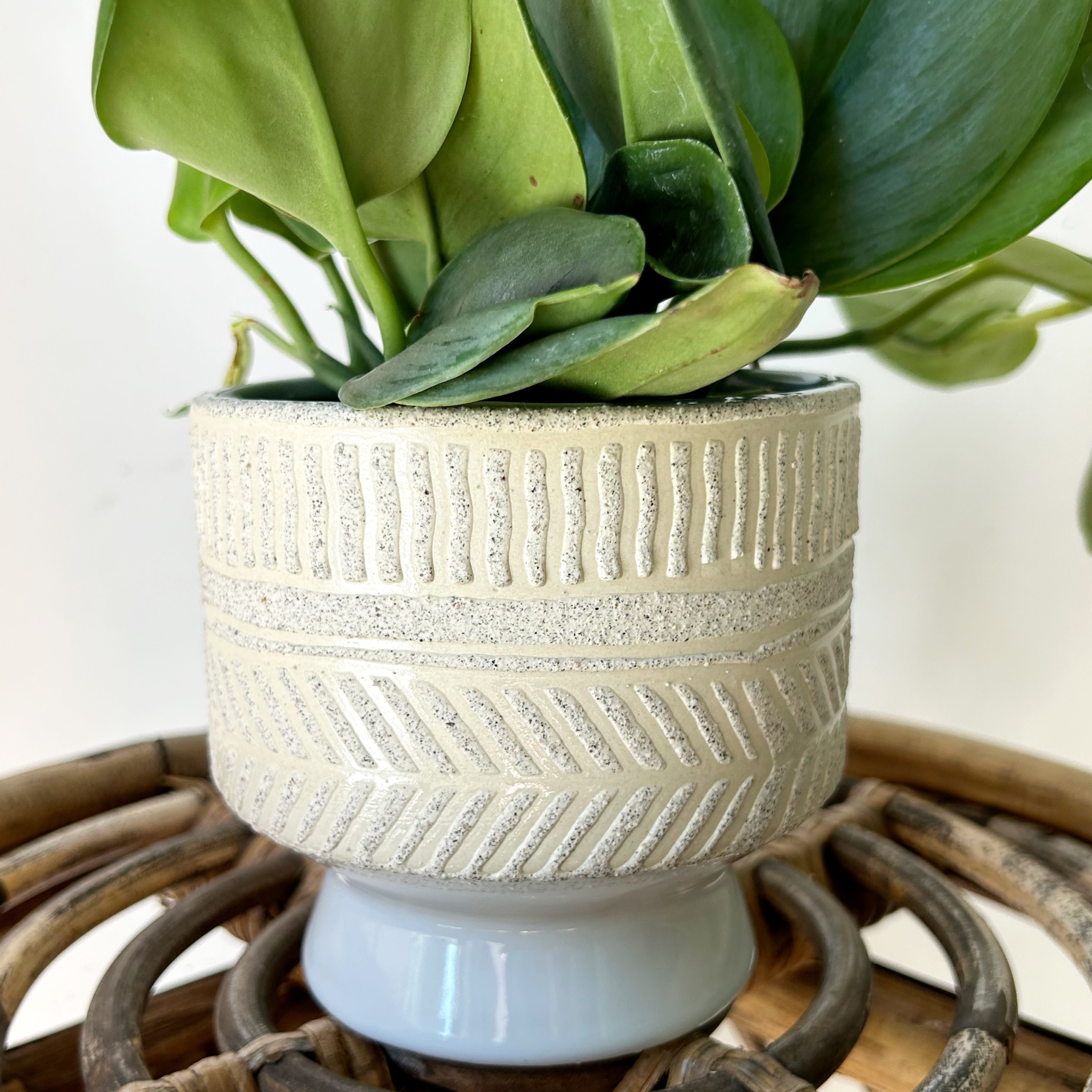 URSULA Raised Decorative Pot (4.5”x4.25”)