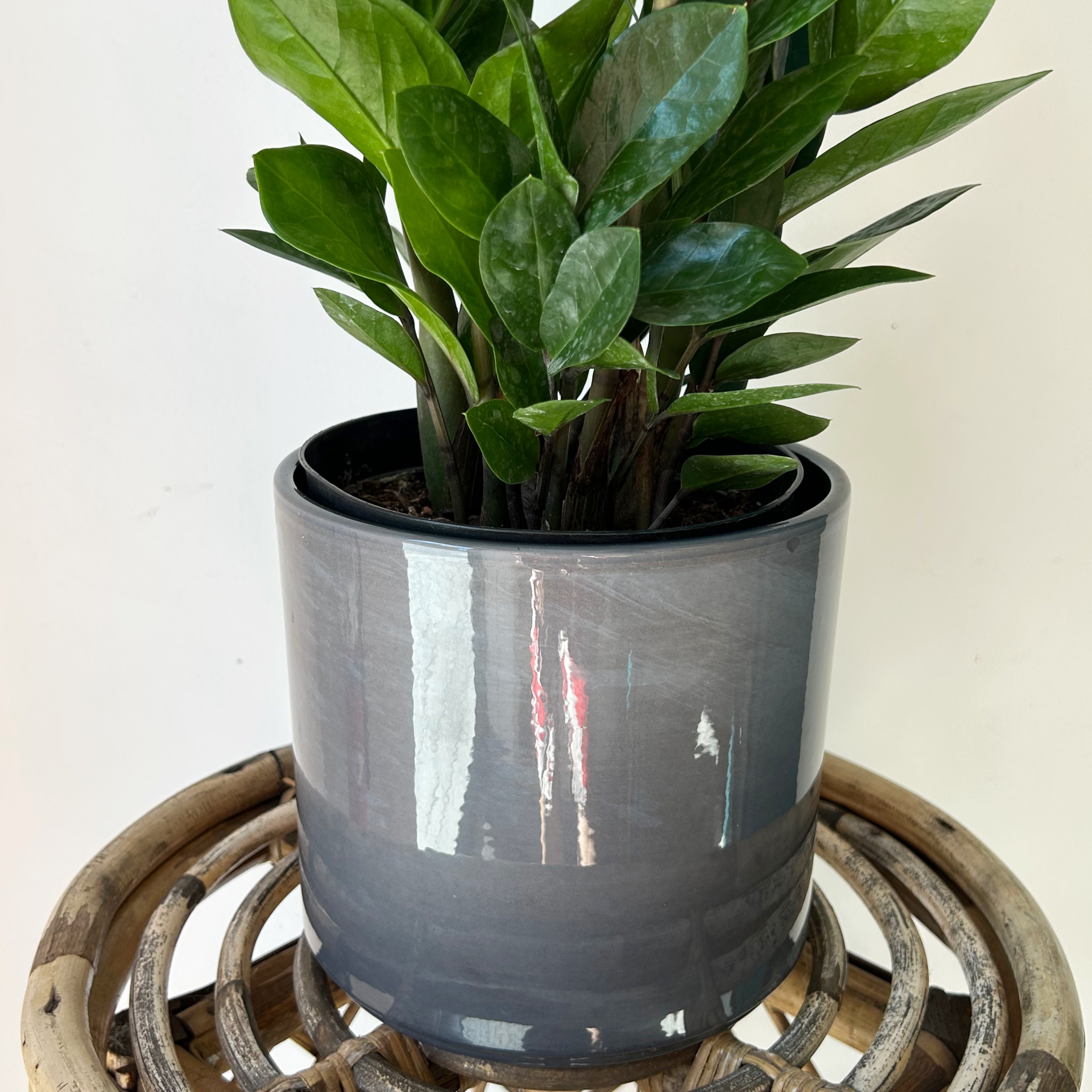 PILLAR Glossy Decorative Pot (6.5"X6") available in 3 colours