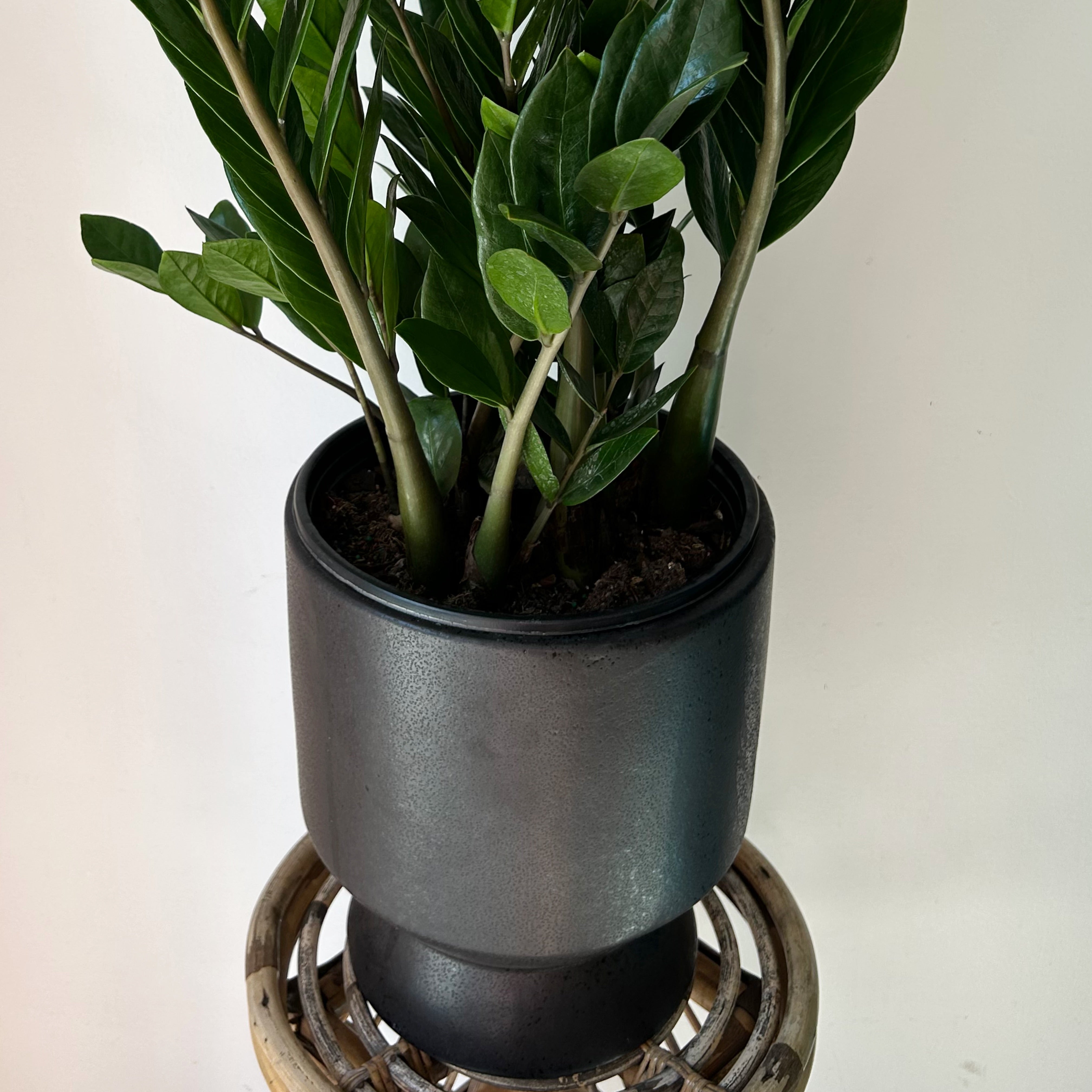 HUDSON Large Modern Decorative Pot (9”x11”) BLACK