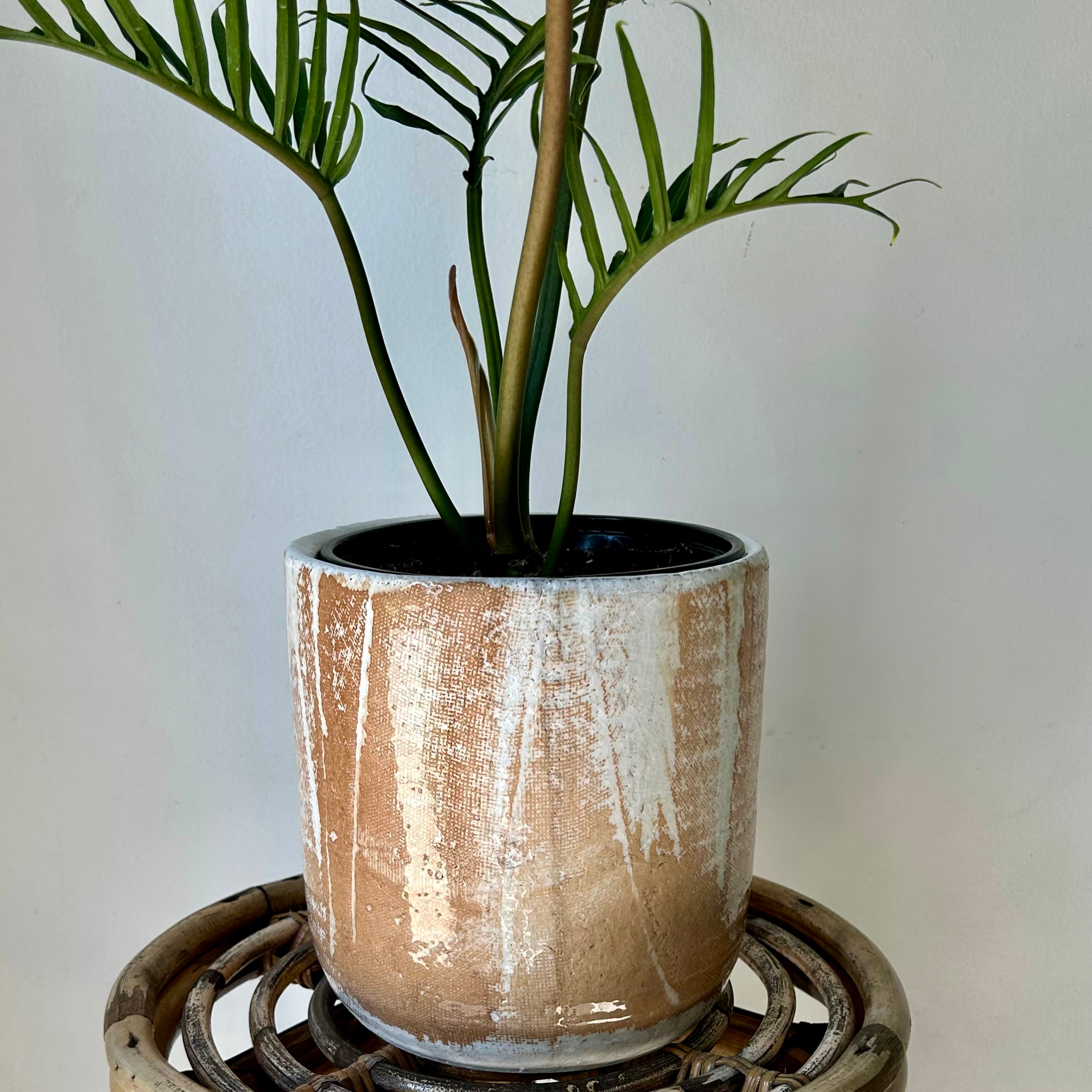LUCA Decorative Ceramic Pot (6”x7”)