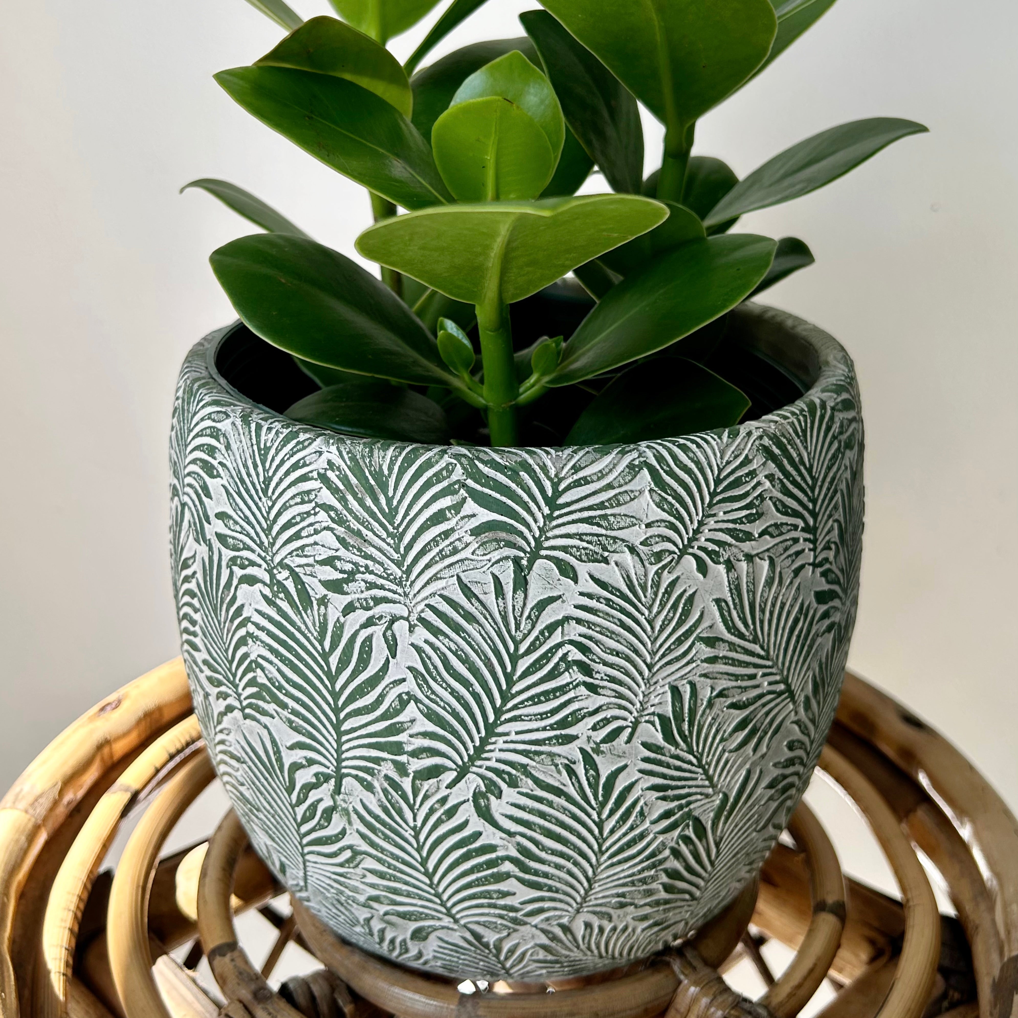FERNANDA Decorative Cement Pot (available in 3 sizes)