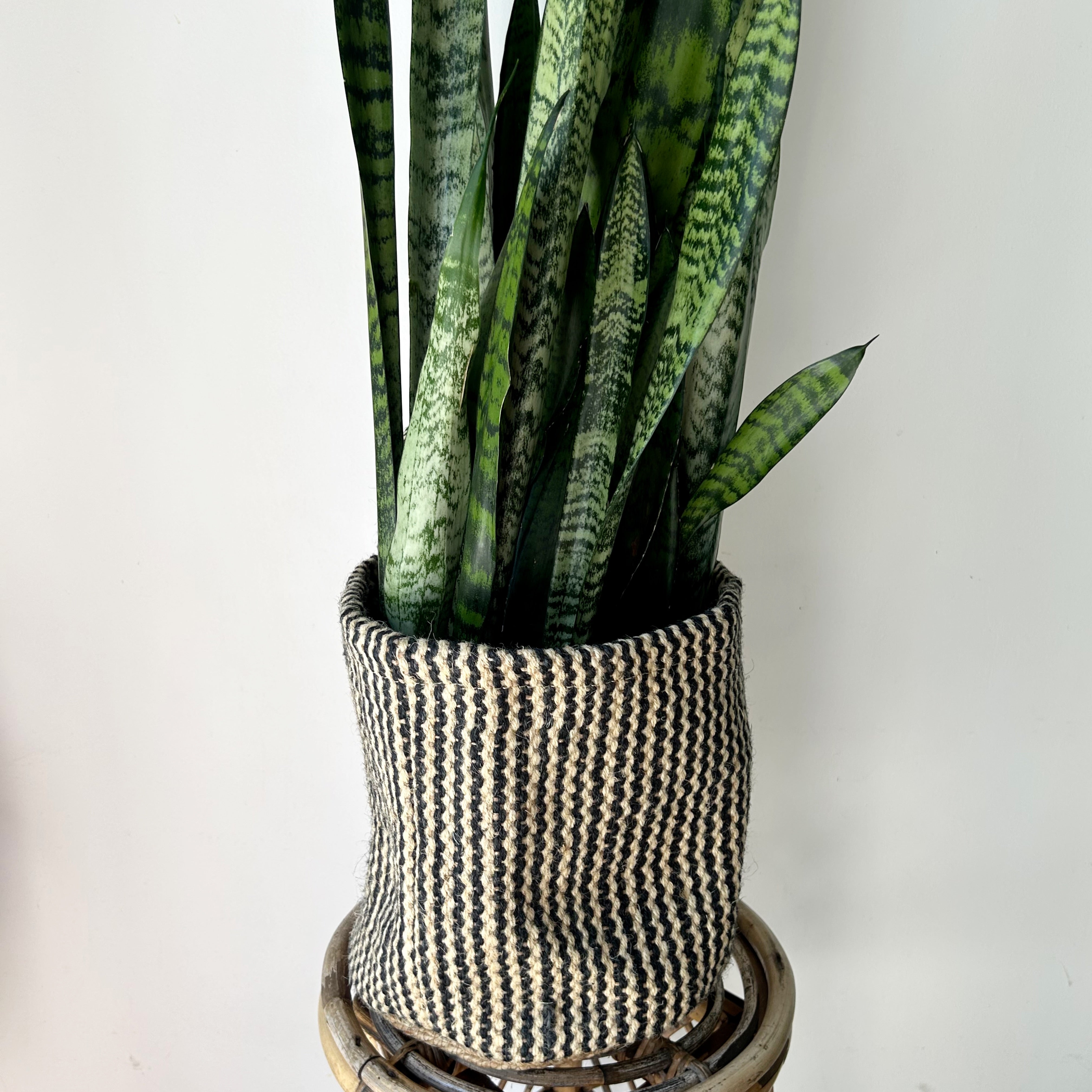 GRASSLAND Decorative Woven Plant Basket