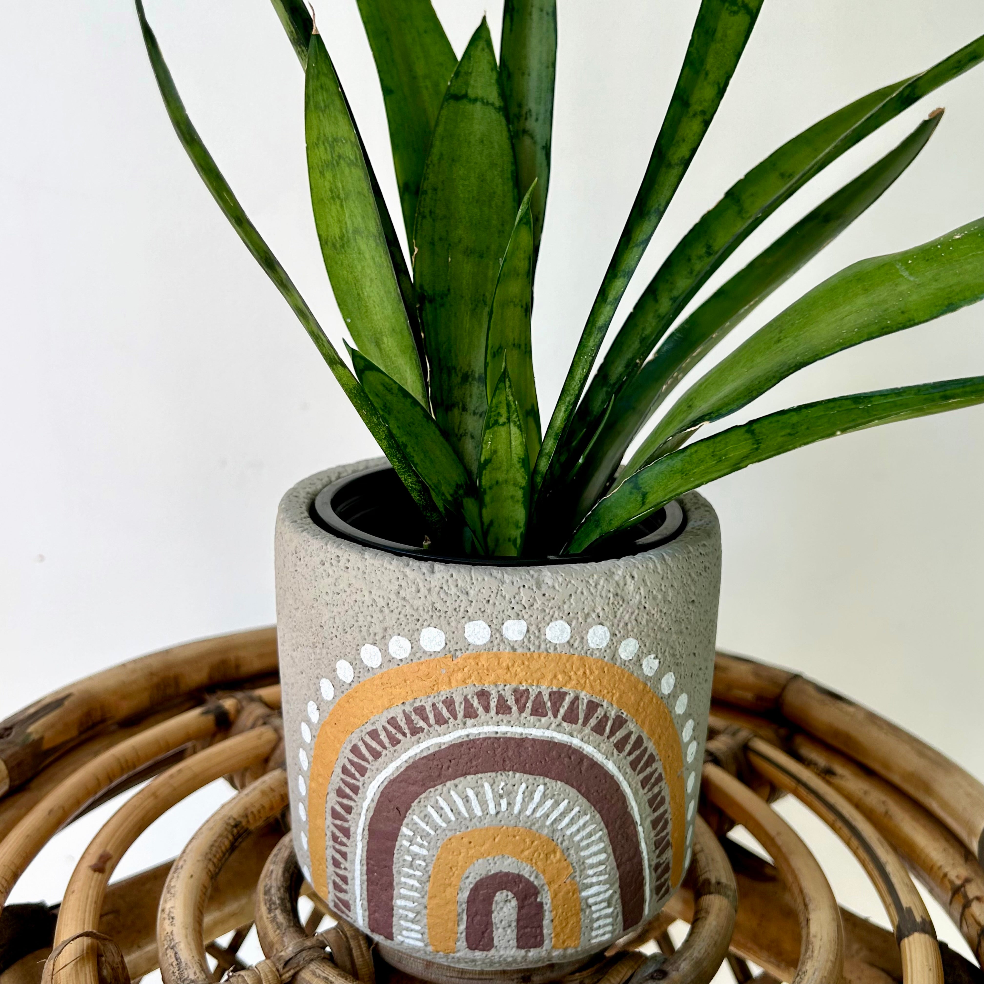 DIEGO Cement Decorative Pot (4”x4”)