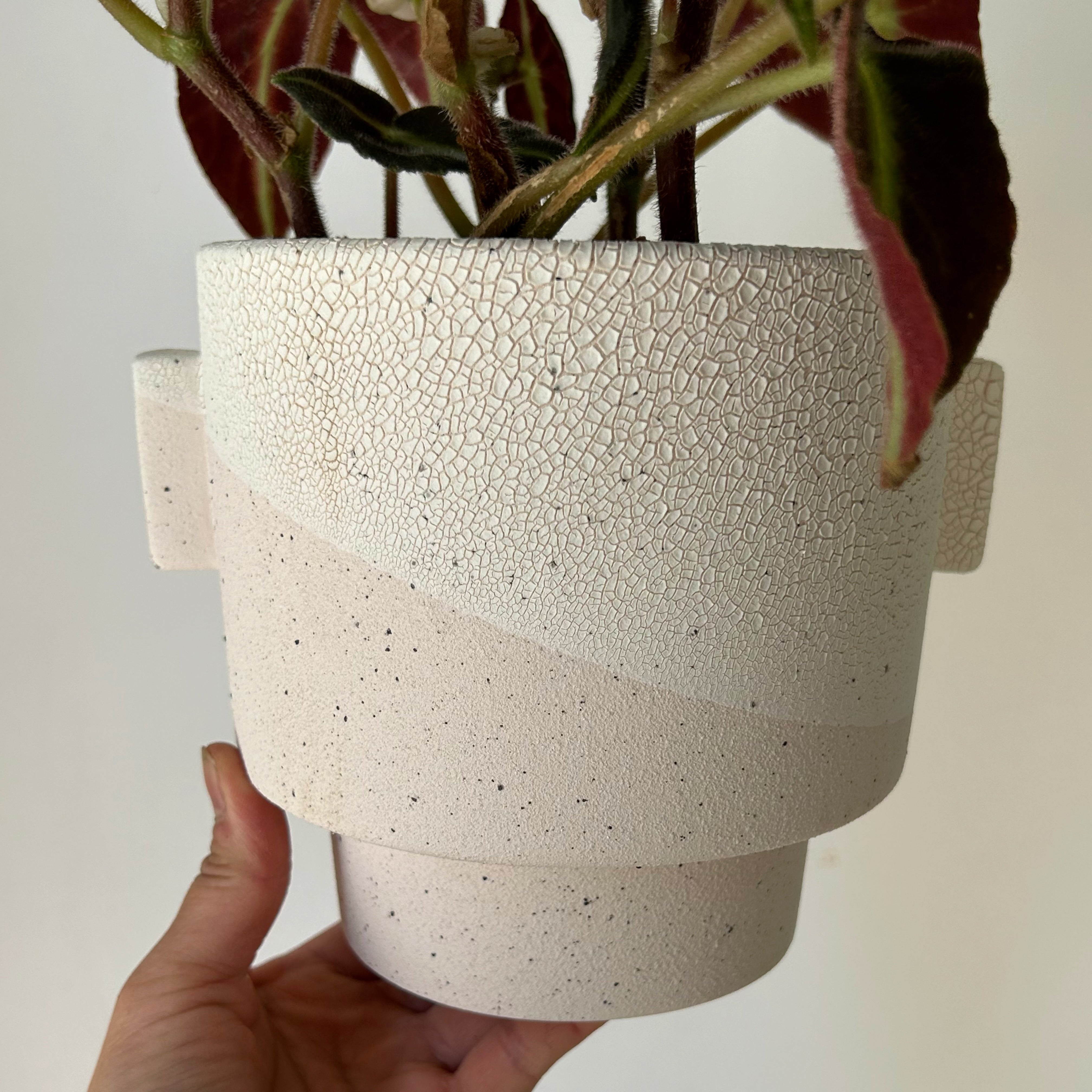 MILTON Decorative Planter (6x6”)