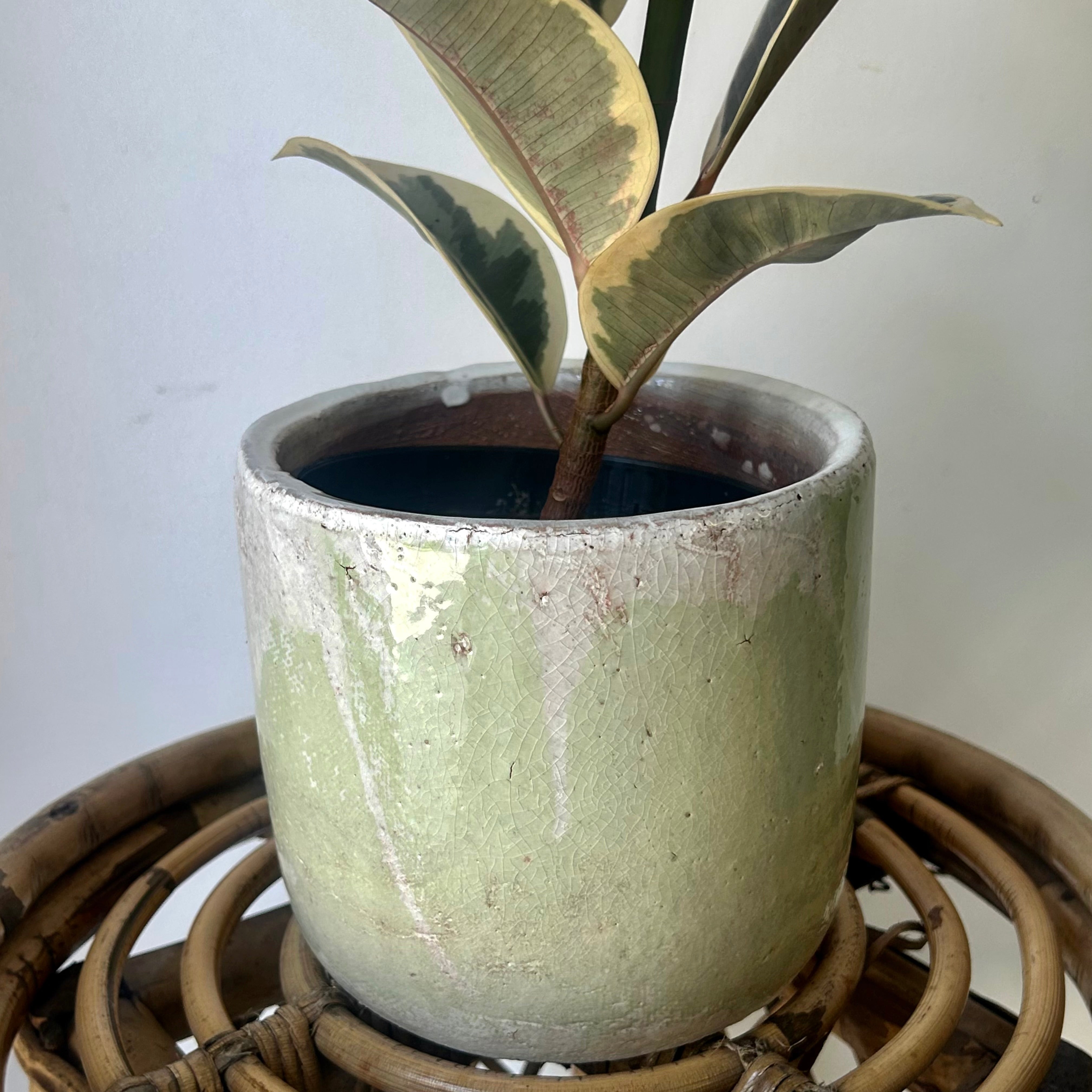 LUCA Decorative Ceramic Pot (5”x5) GREEN