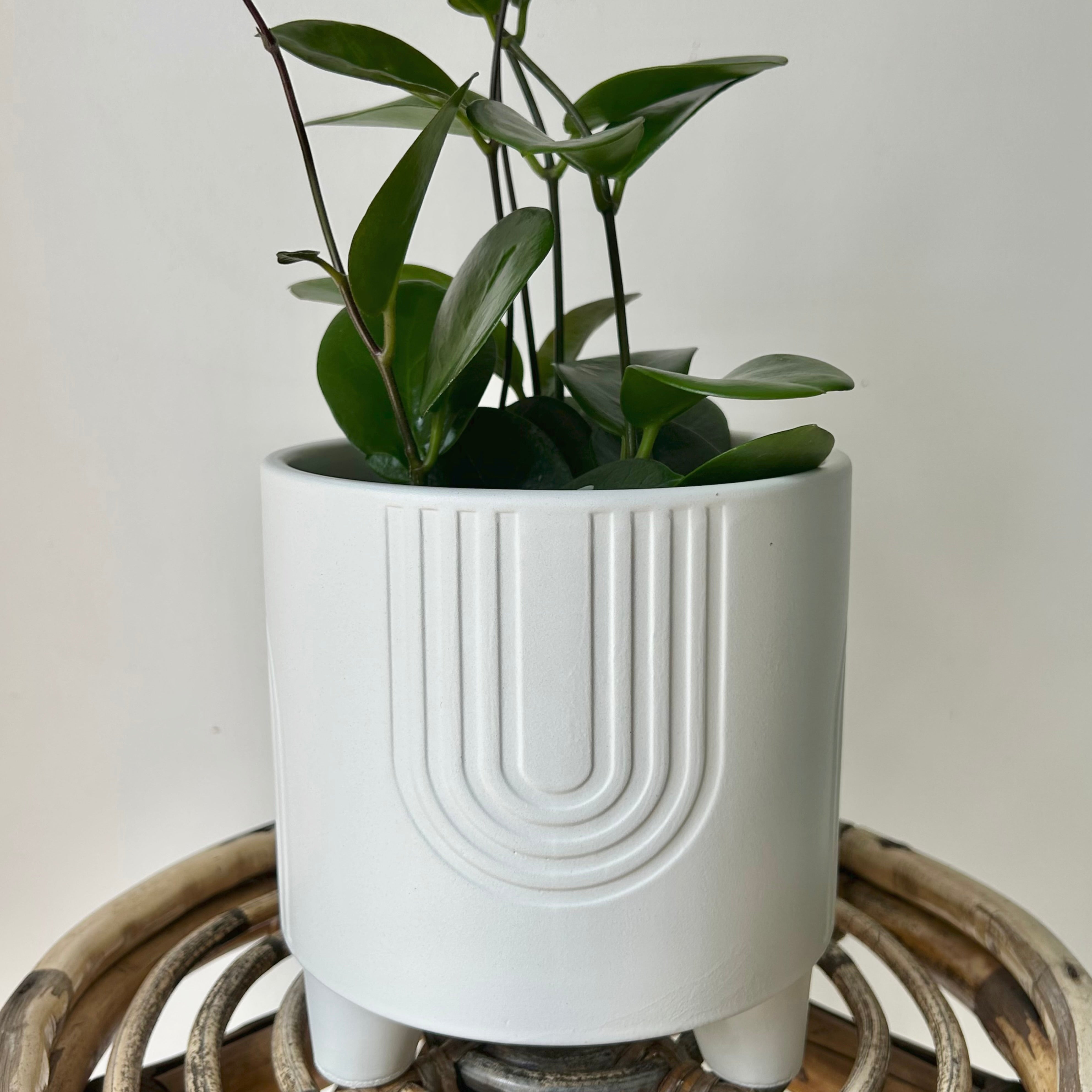 FLYNN Decorative Pot (5.75”x5”)