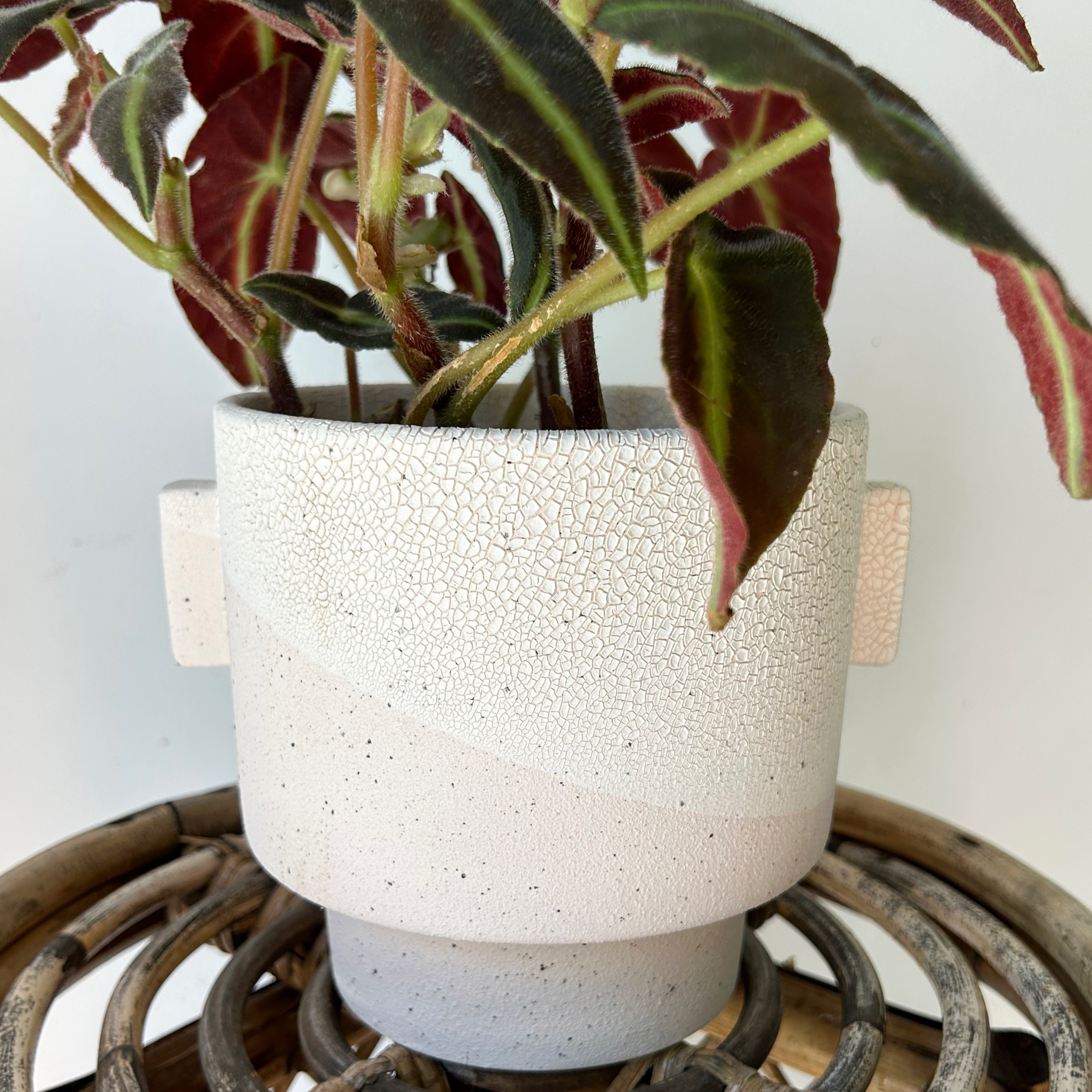 MILTON Decorative Planter (6x6”)