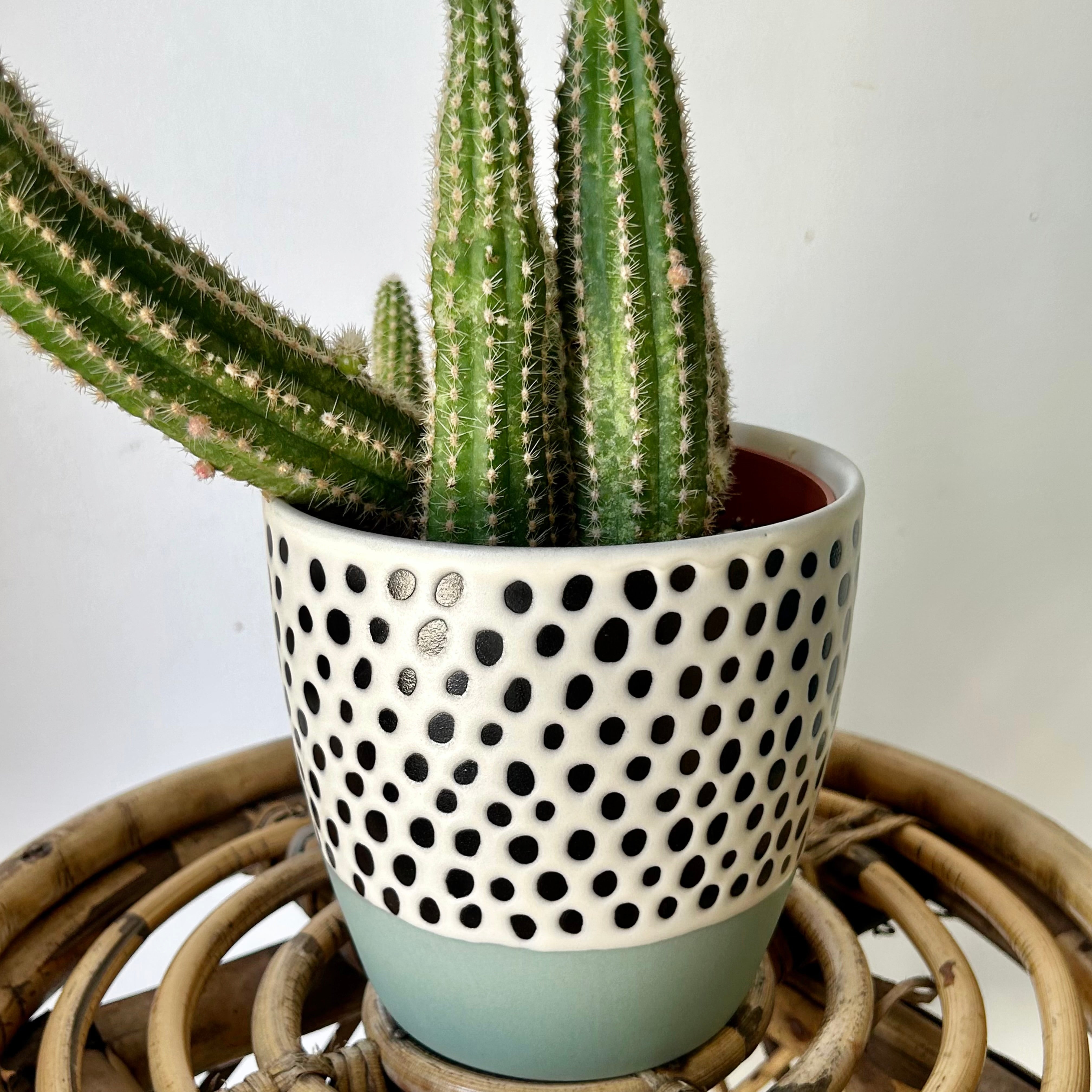 DOT Decorative Ceramic Pot (5”x5”)