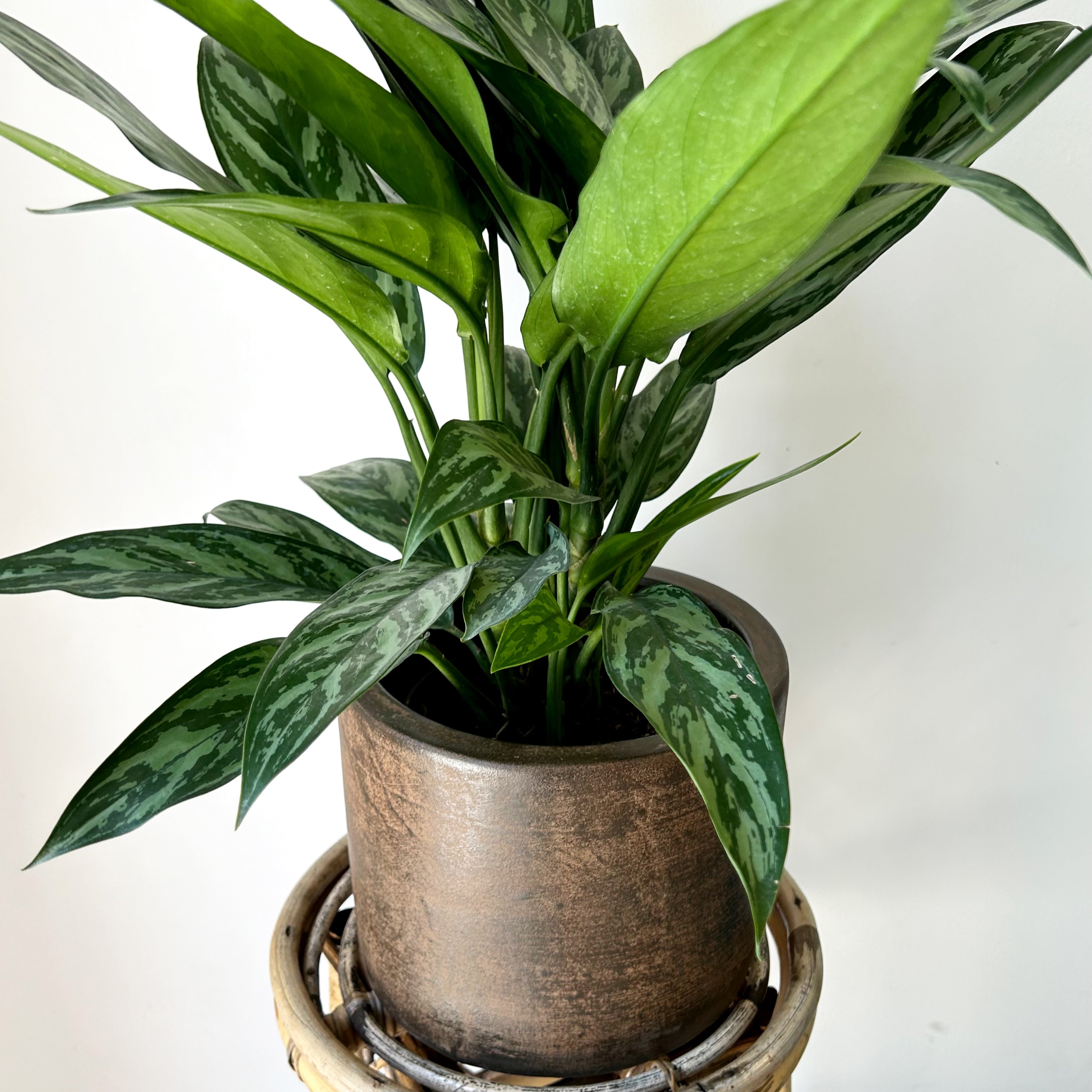 ARTURO Planter COPPER