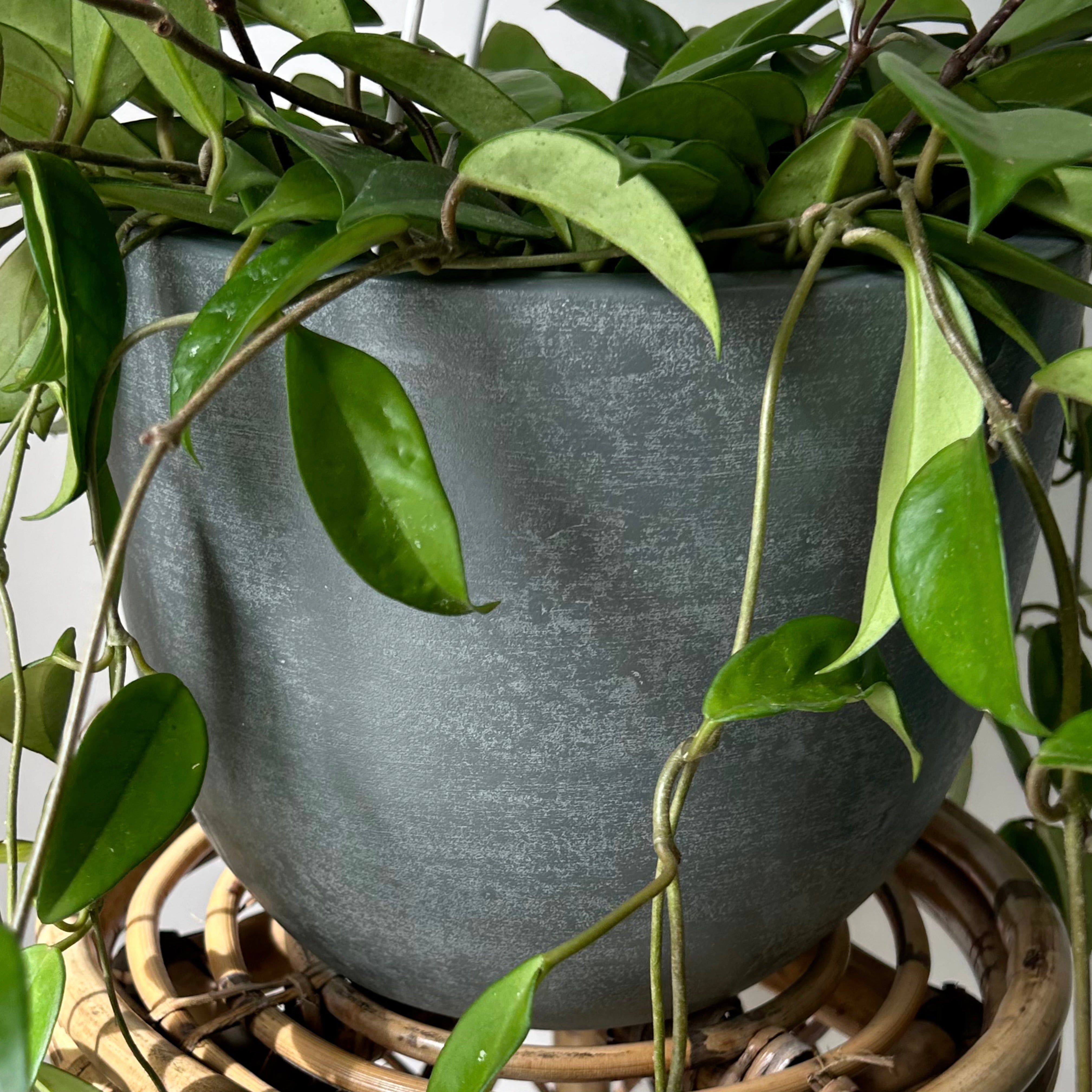 SIMCOE Bell-Shaped Planter GREY
