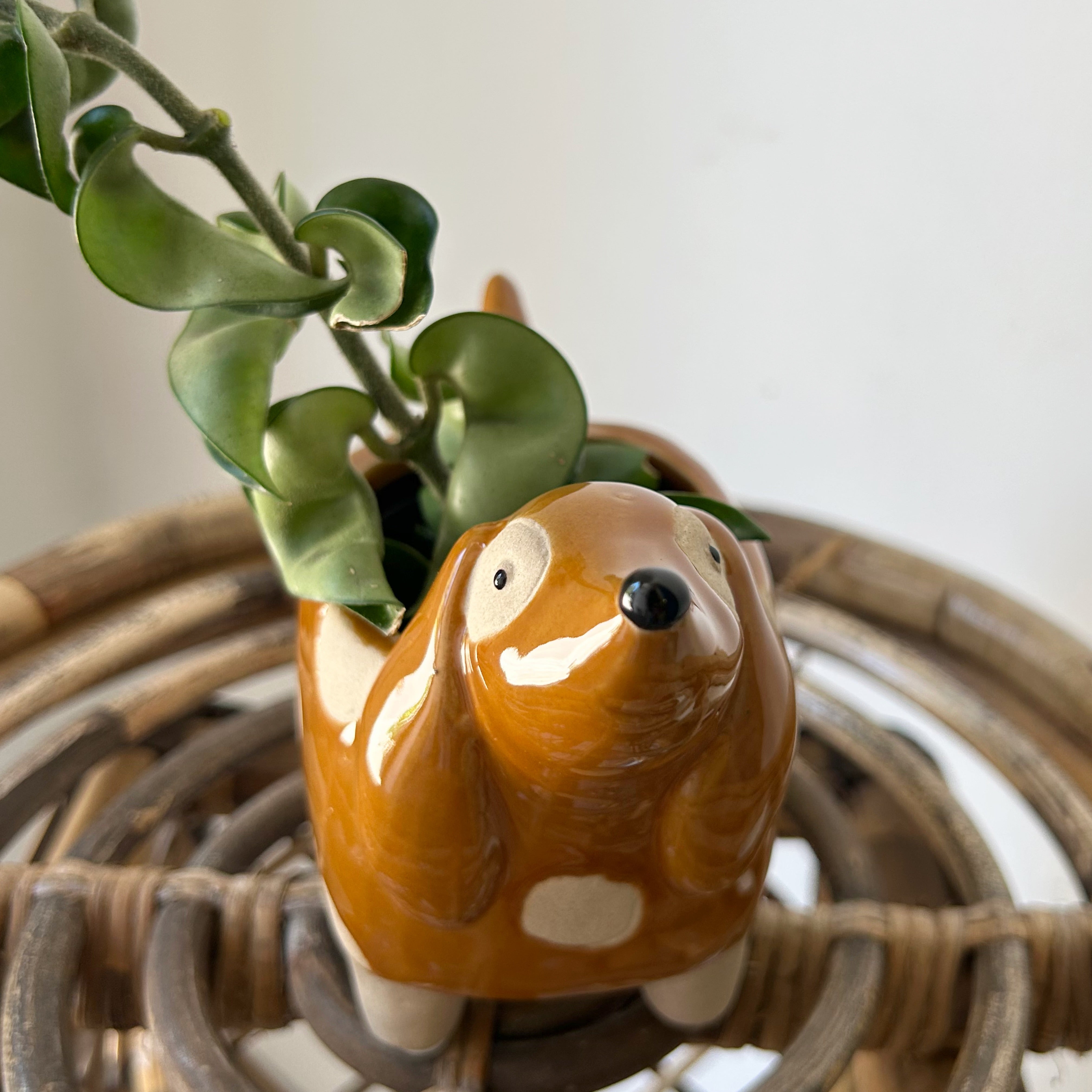 Spotted Dog Decorative Pot (2.5”x2.5”)