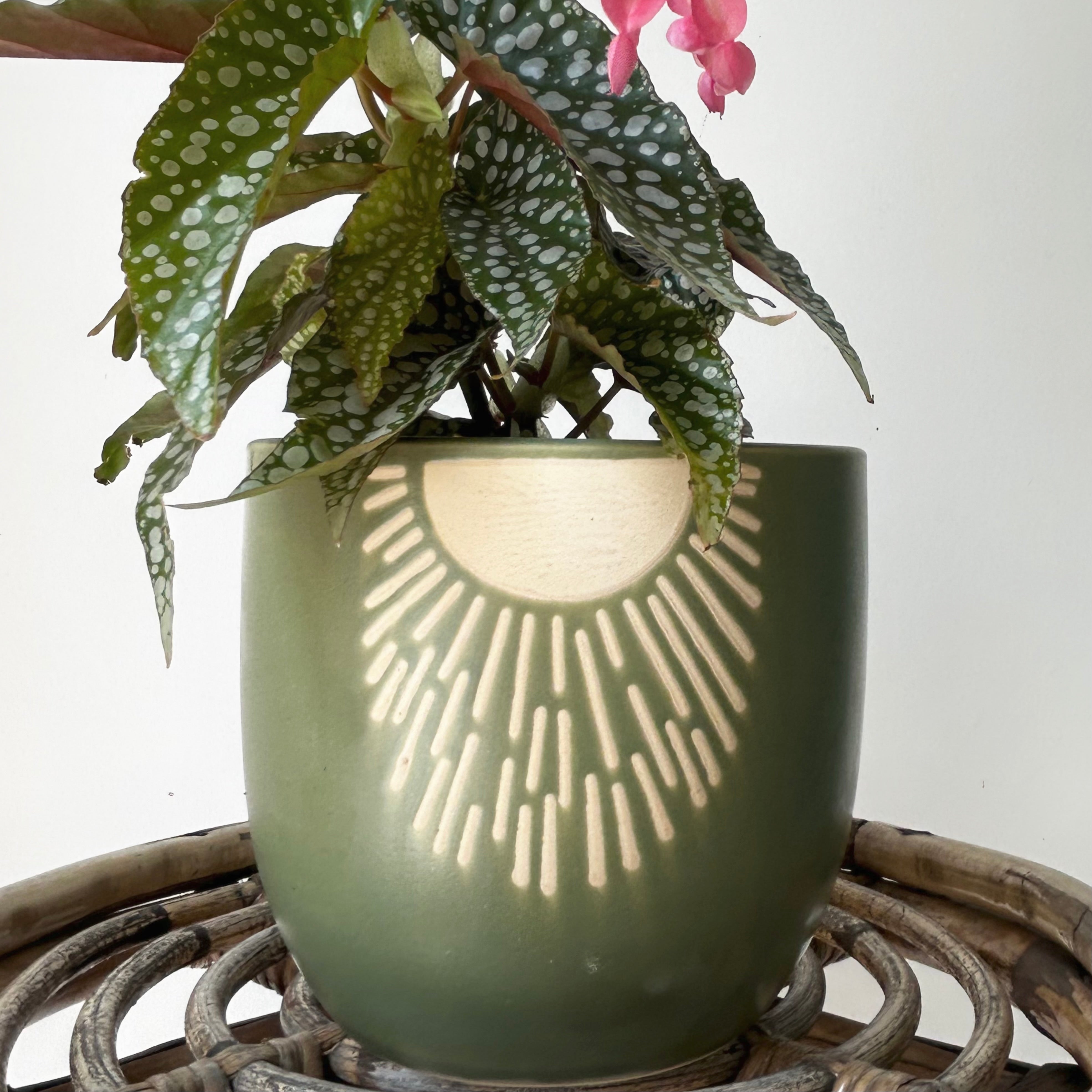 MEADOW Decorative Pot (5.25”x5”)