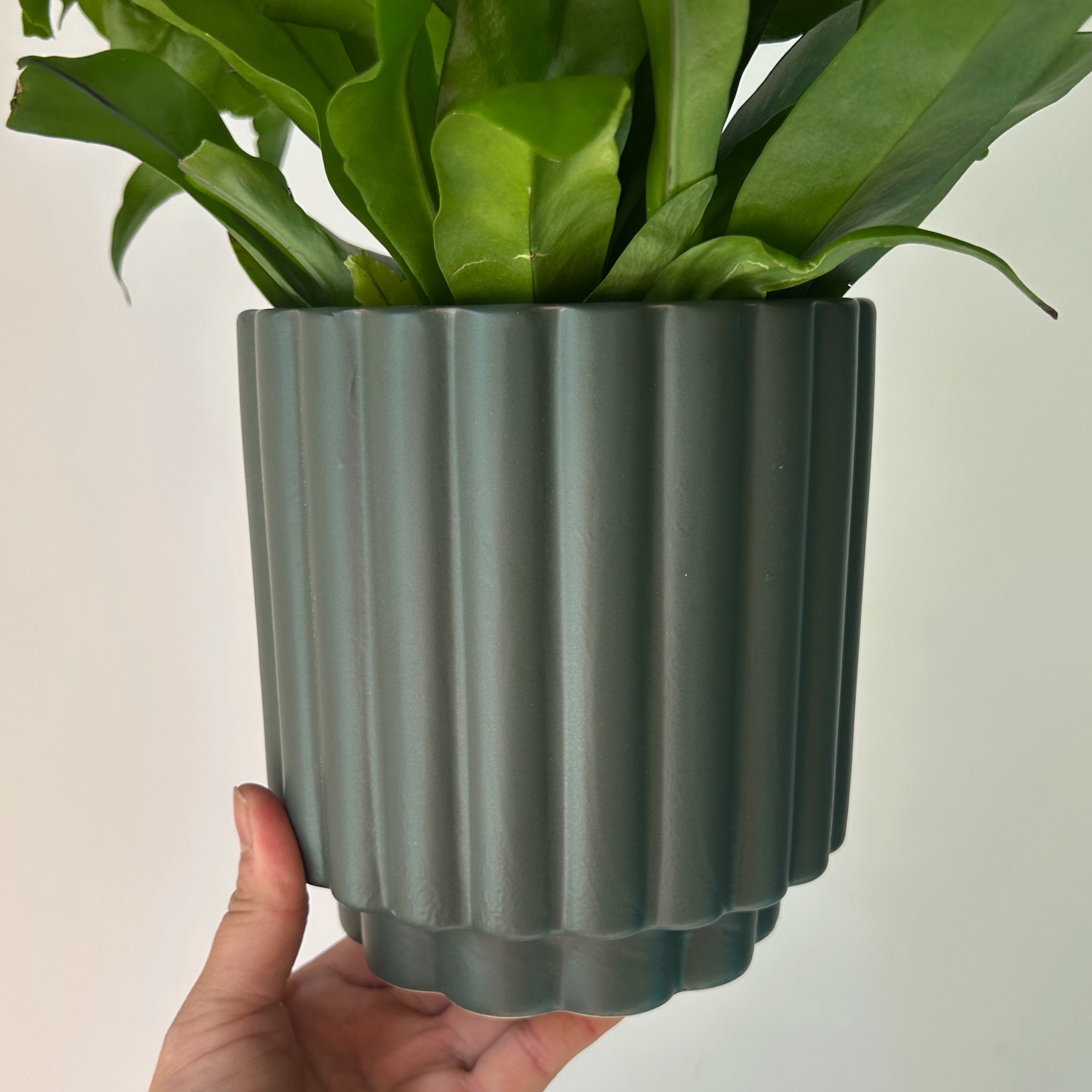 HARMONY Decorative Pot (5”x6”)