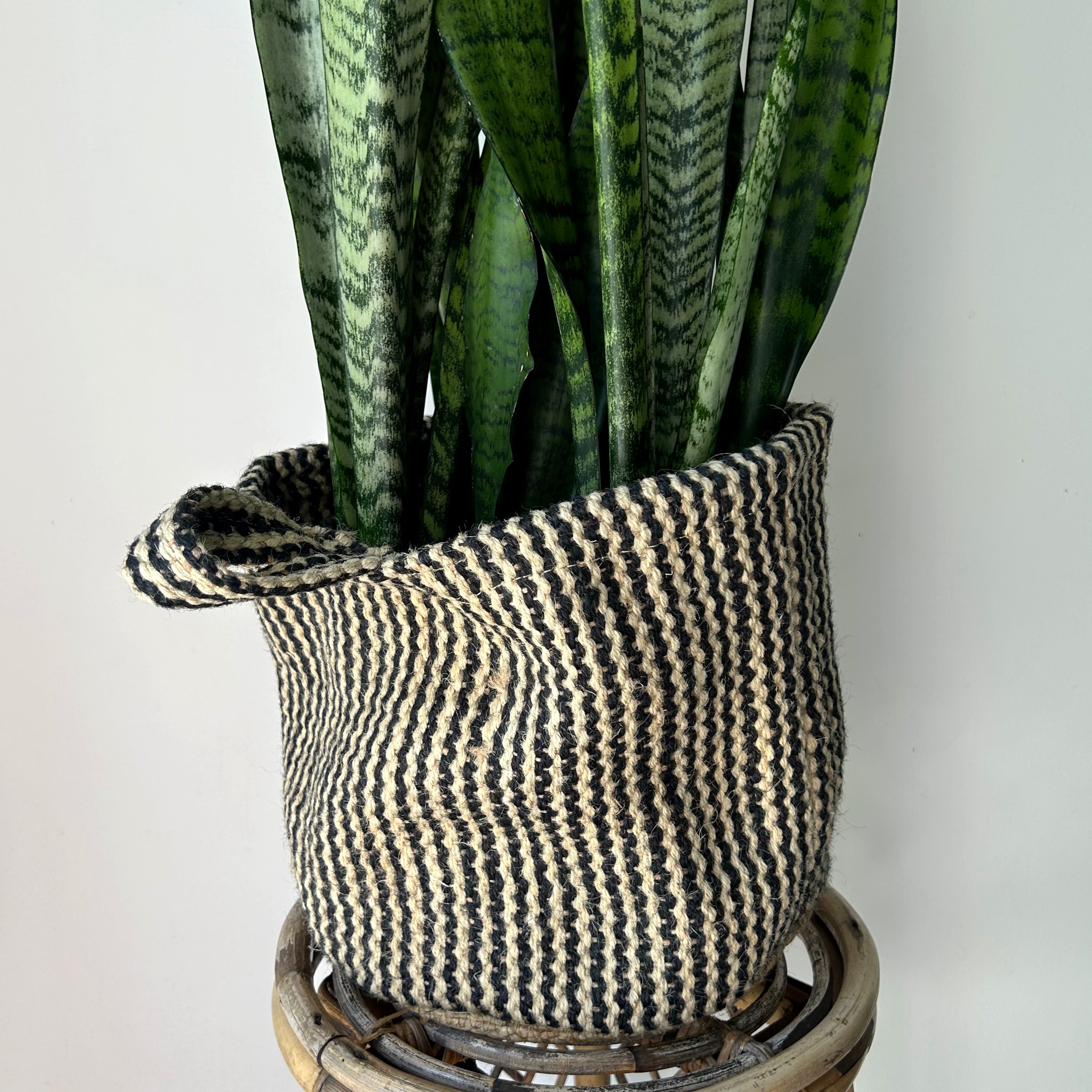 GRASSLAND Decorative Woven Plant Basket