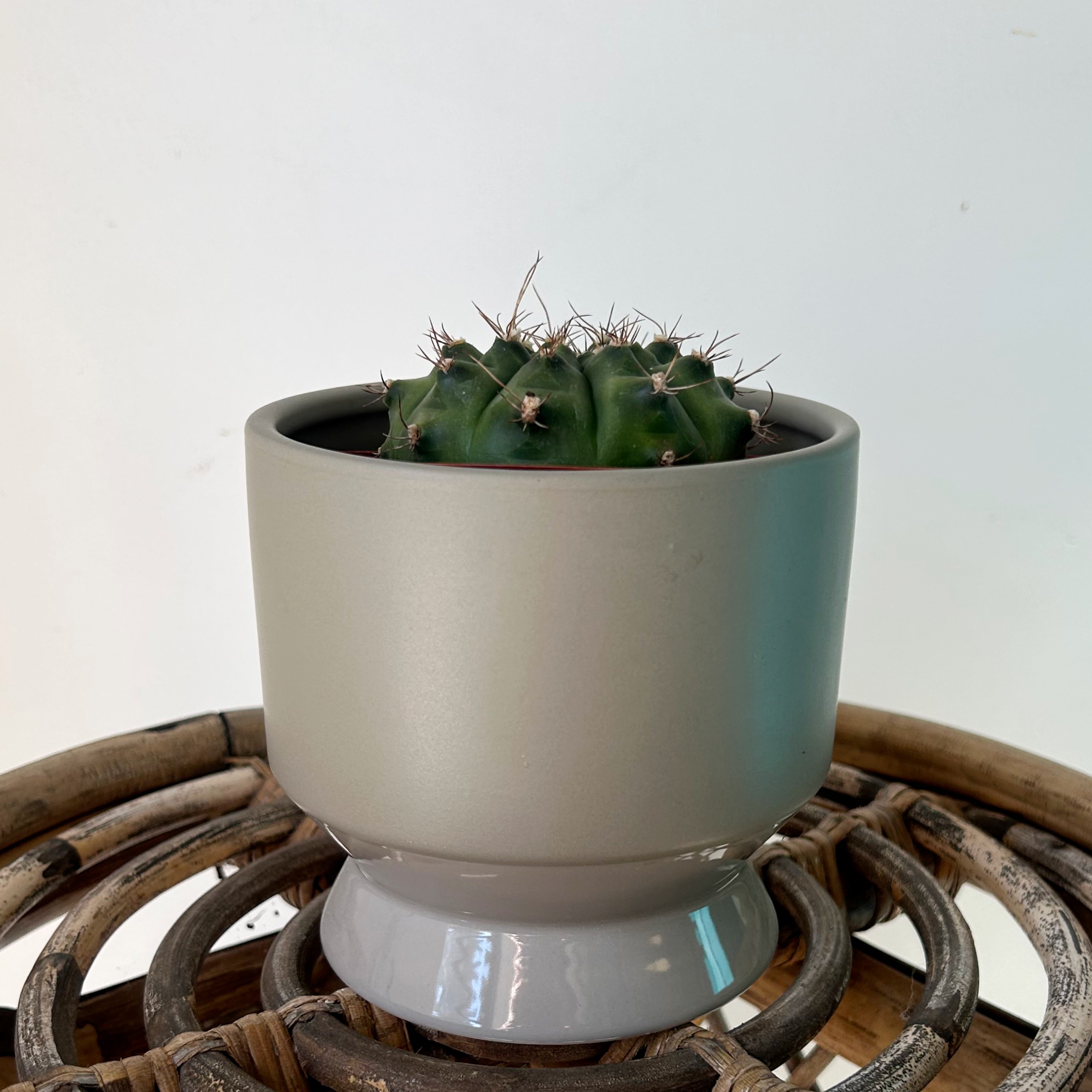 PASADENA Decorative Raised Pot (available in two colours)  4.5”x5”