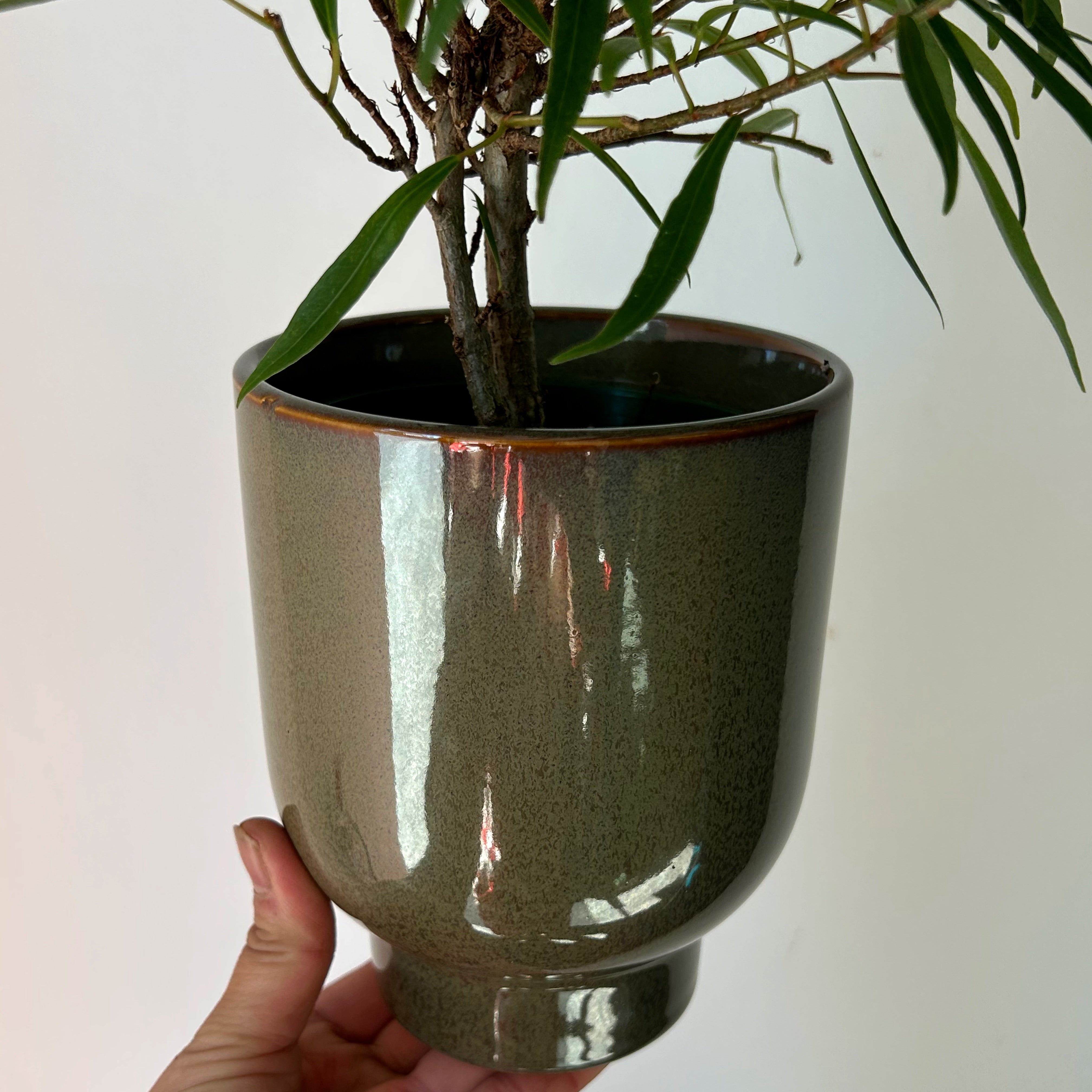 ELLIOT Glossy Modern Decorative Pot (Olive Green) 4.5"”x5.5”