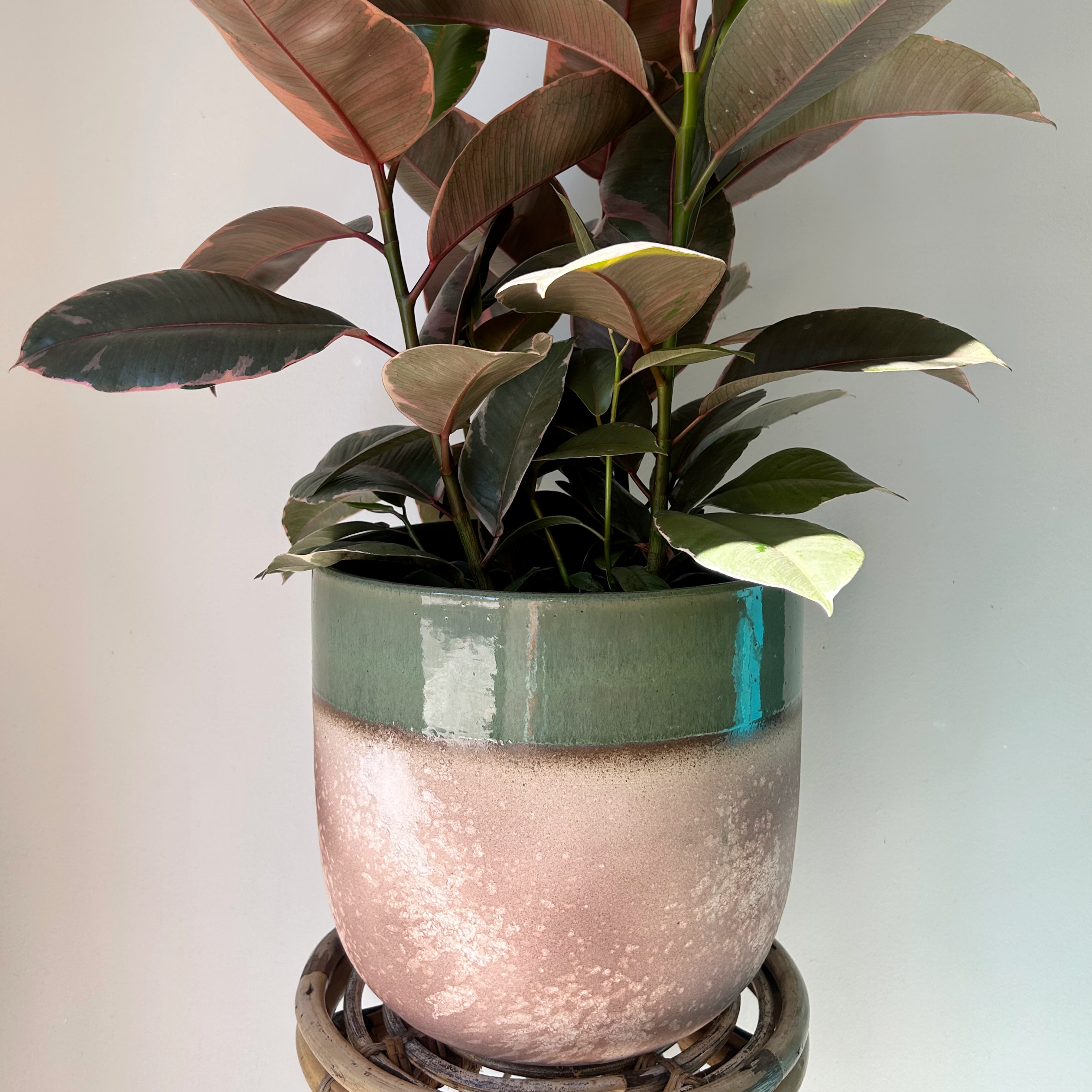 MICA Large Decorative Ceramic Pot (11.25”x10”)