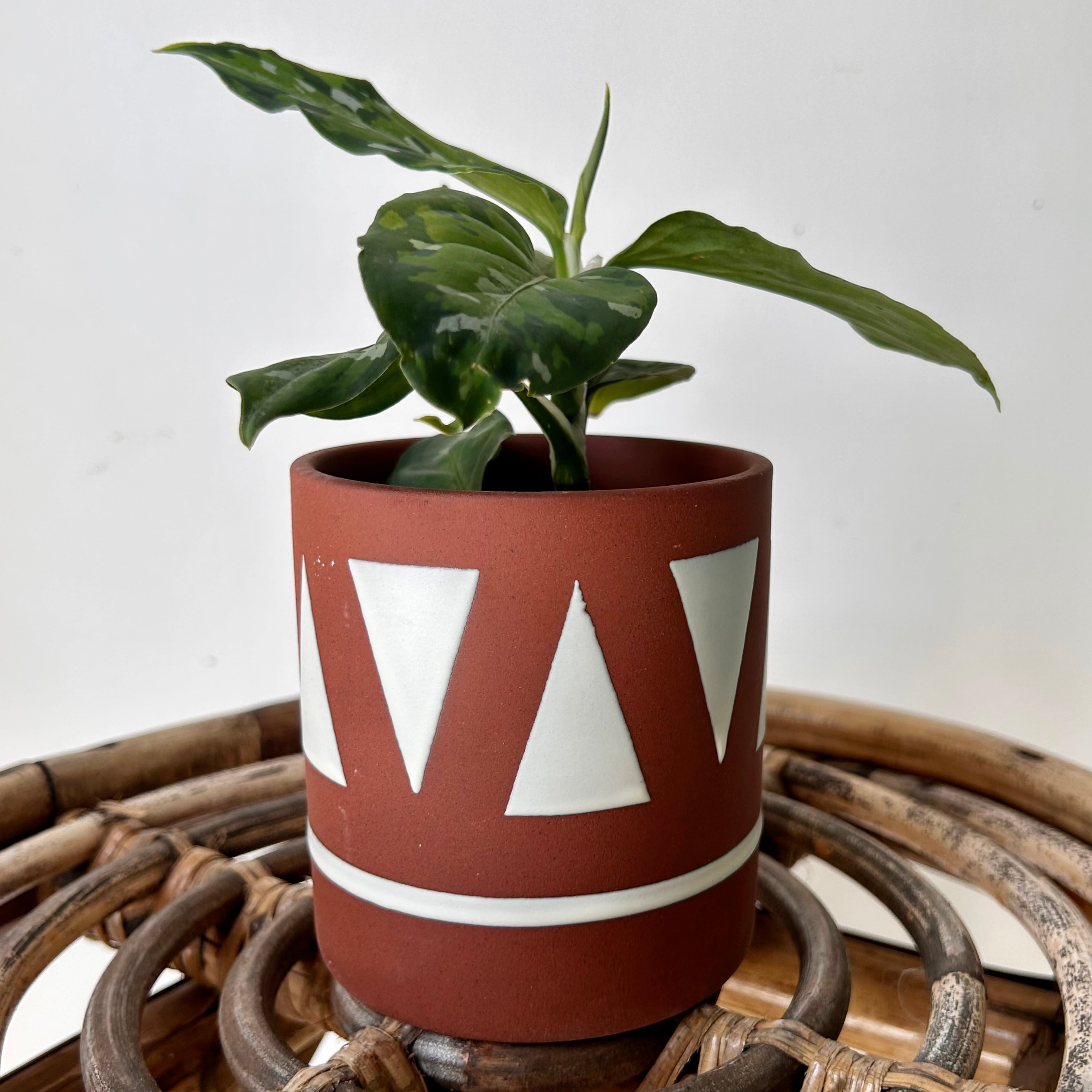 TAJIN Decorative Planter with saucer  (3.25”x3.75”)