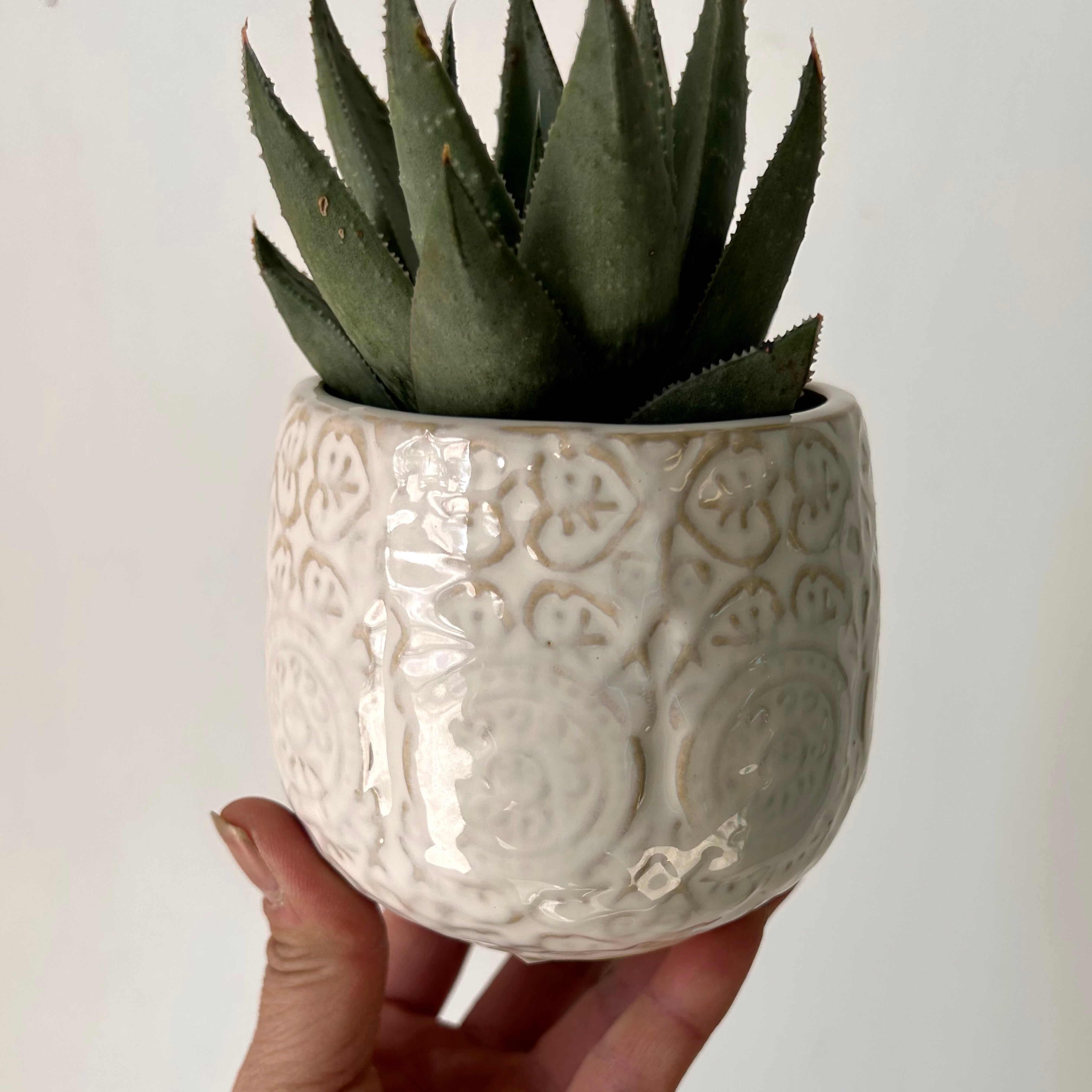 FRANCINE Decorative Planter (3”x3.25”)