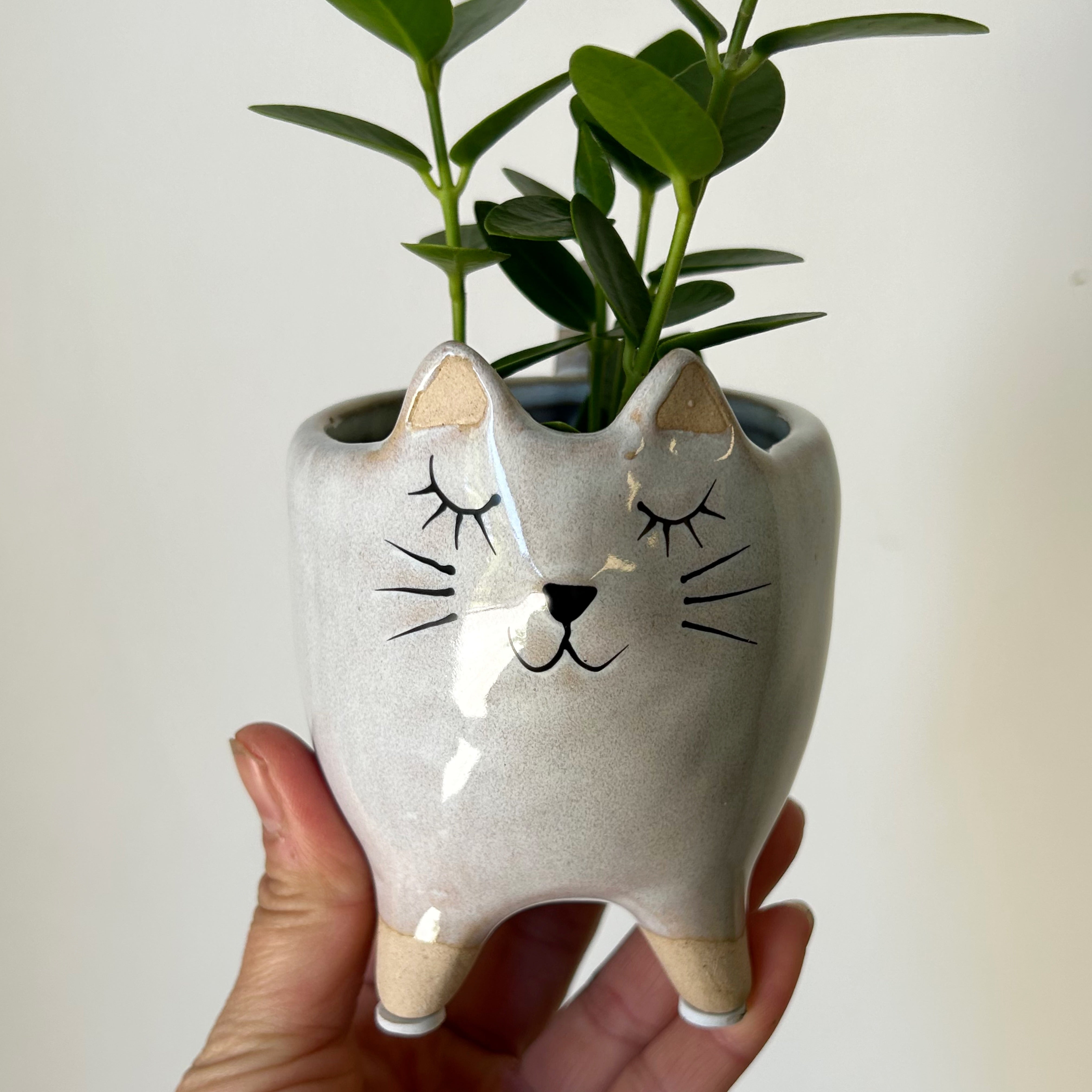 KITTEN Decorative Ceramic Pot  (2.75”x2.75”)