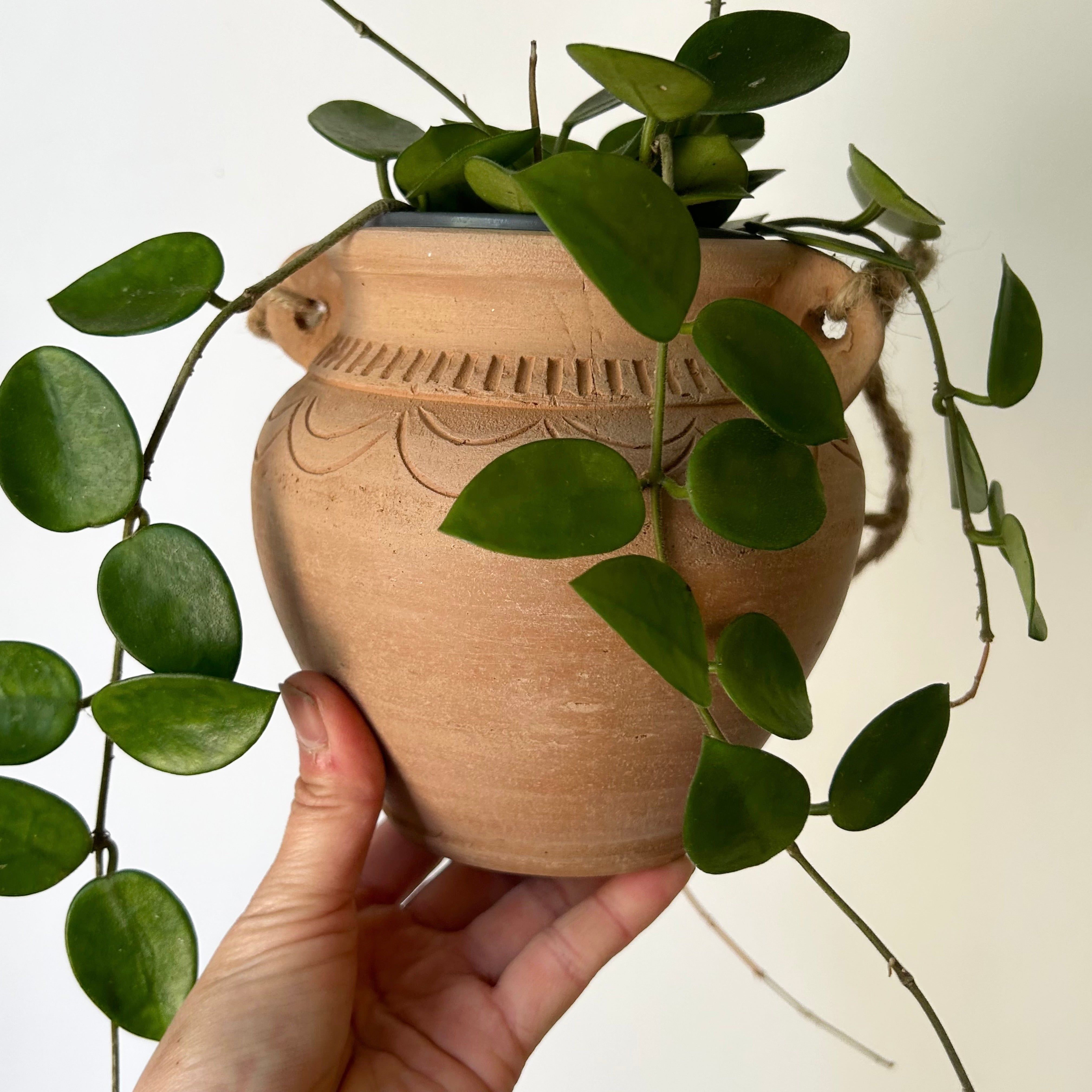 ARIZONA Decorative Clay Pot (3.5”x5.5”)