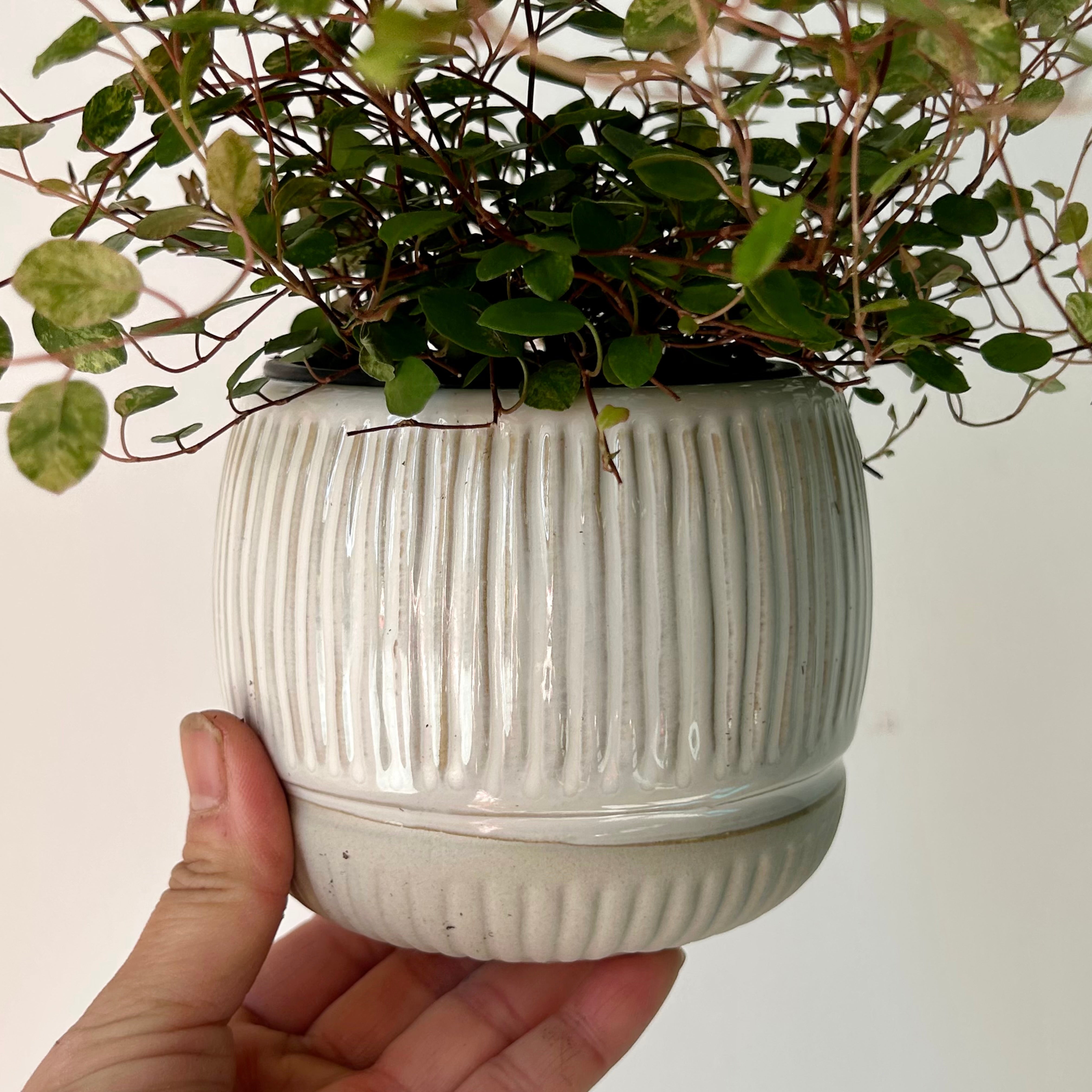 CAMILLA Decorative Striped Ceramic Pot (3.5”x3.5”)