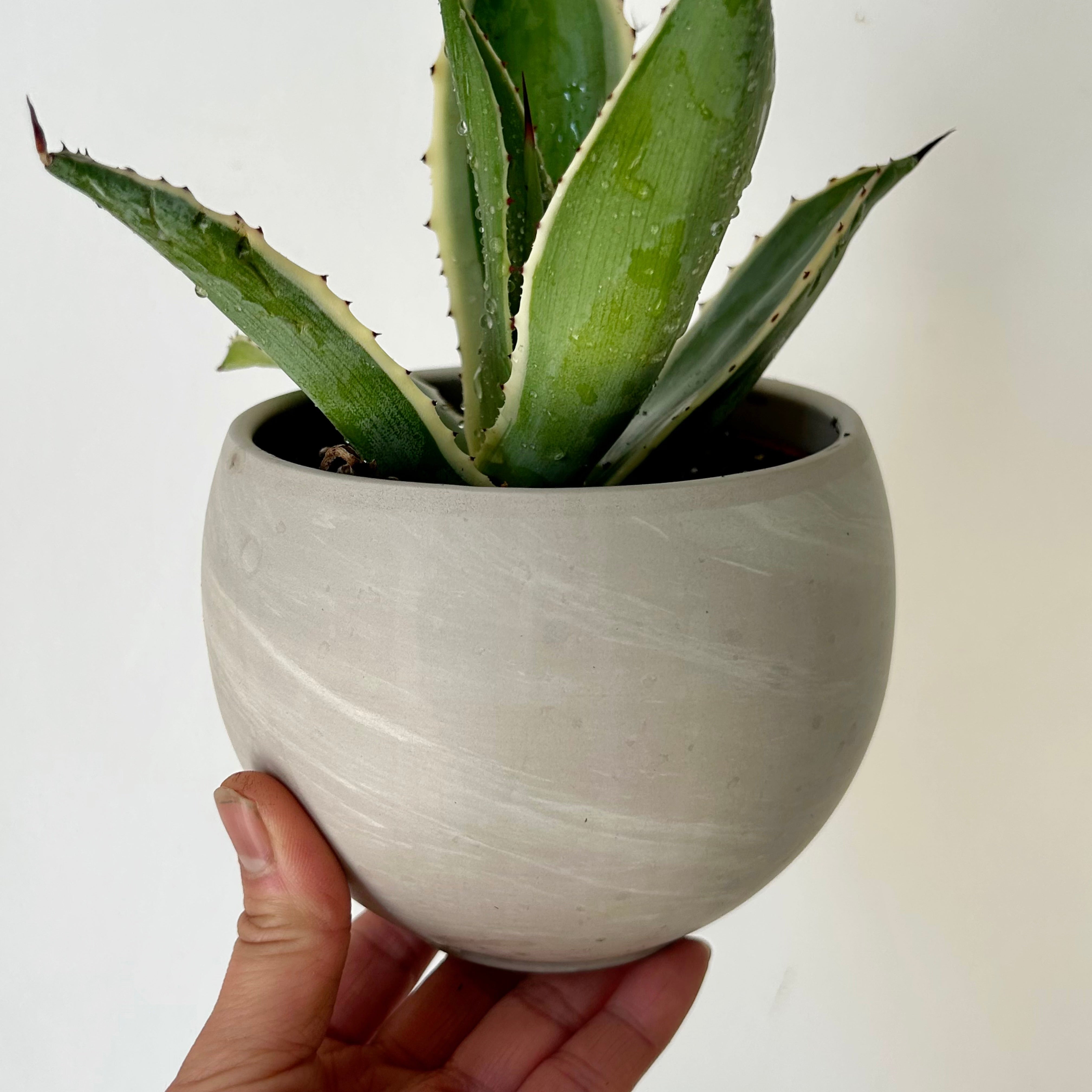 SHILOH Decorative Sphere Clay Pot