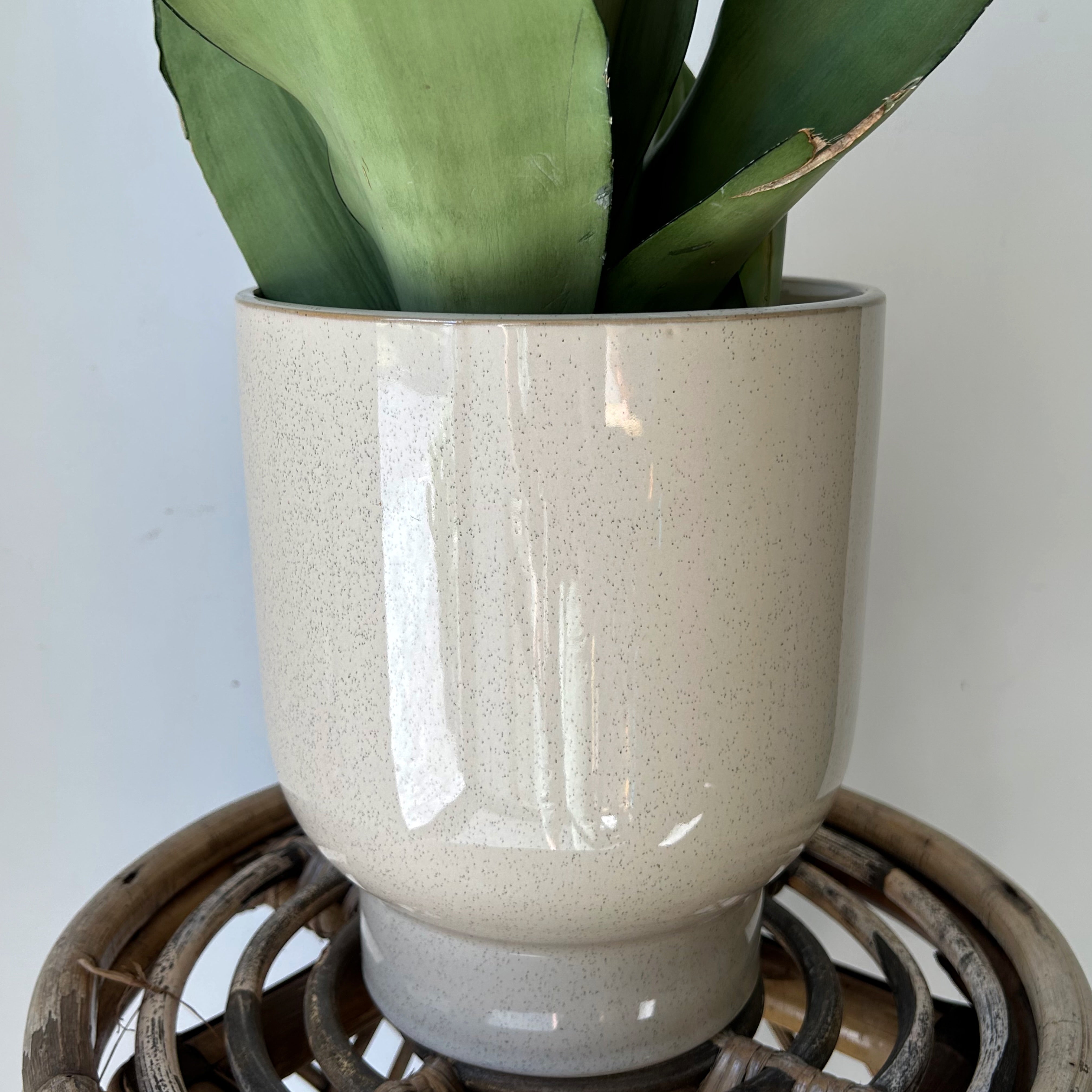 ELLIOT Large Raised Decorative Pot (Cream) 9”x10”