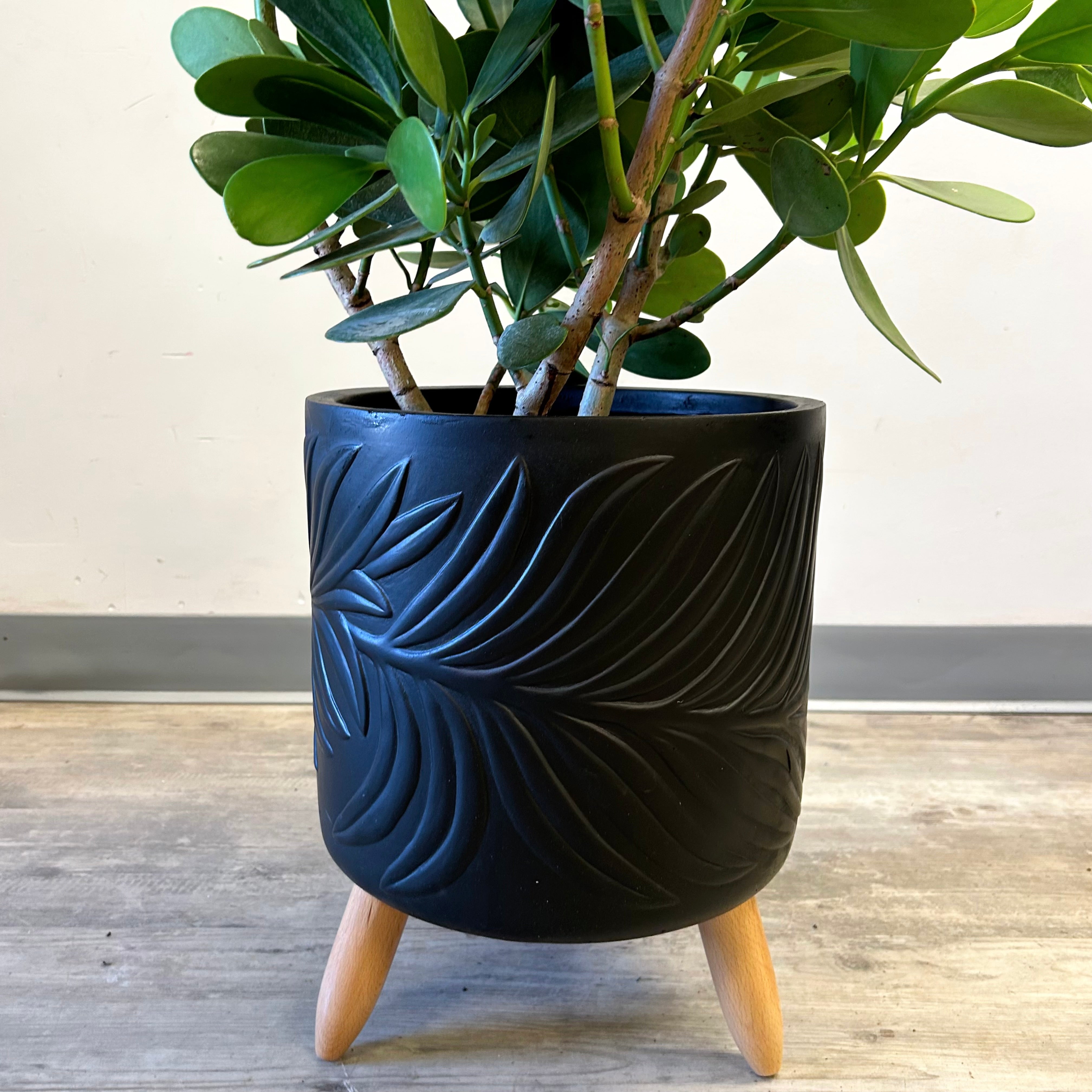 BEATRICE Plant Stand tripod (available in multiple colours)