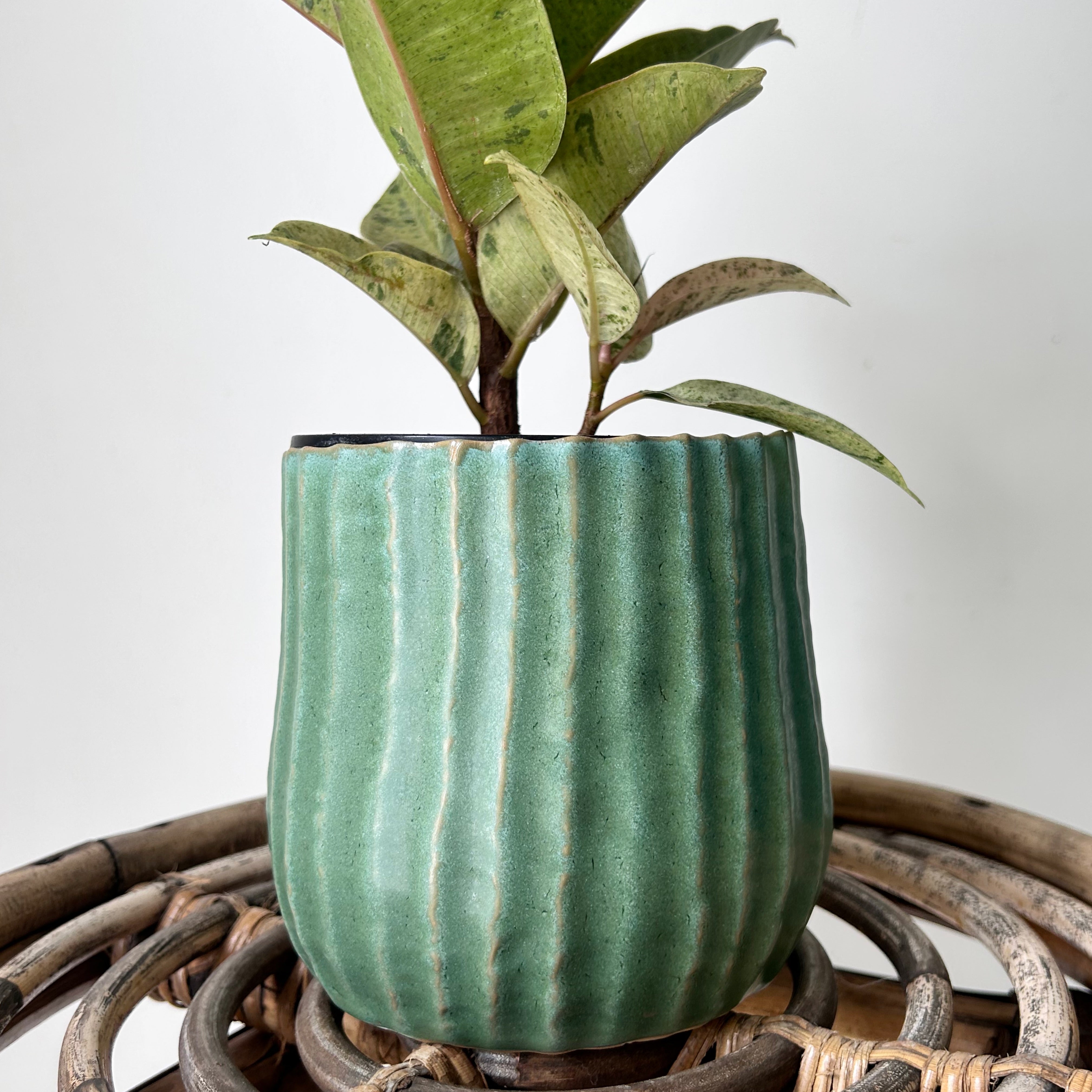 PALMERO Decorative Pot (5”x4.75”)