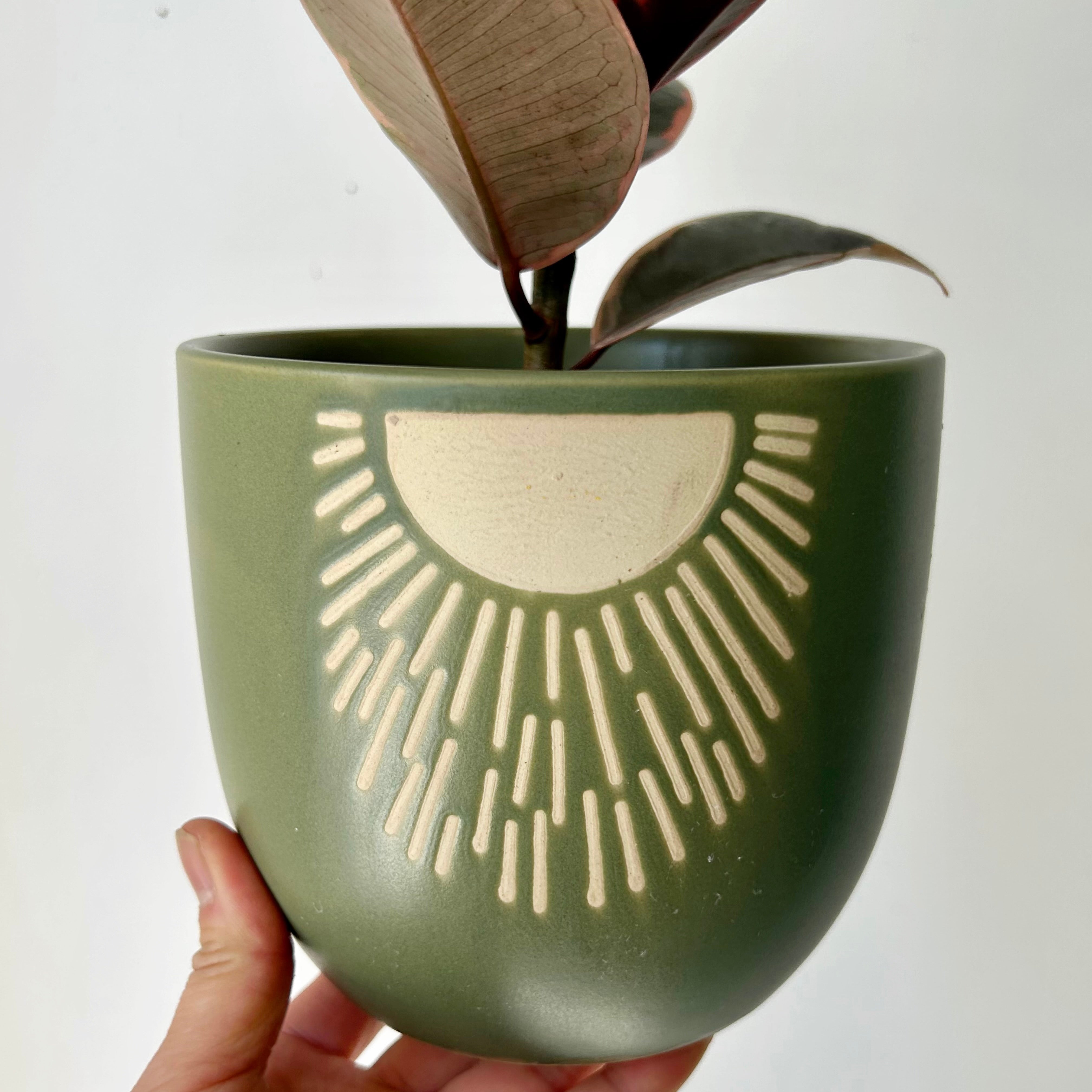 MEADOW Decorative Pot (5.25”x5”)