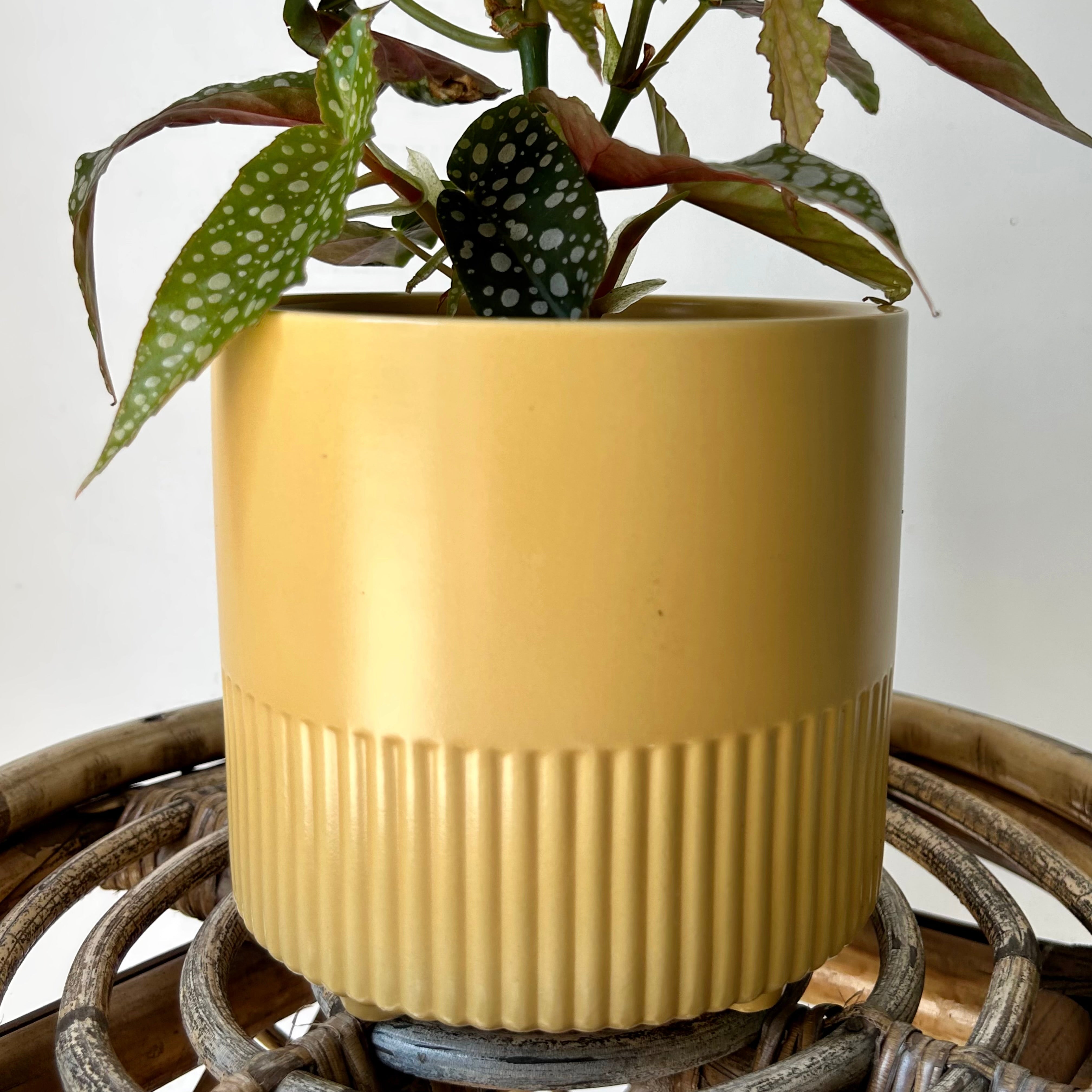 KERWIN Decorative footed planter 5”X4.75”