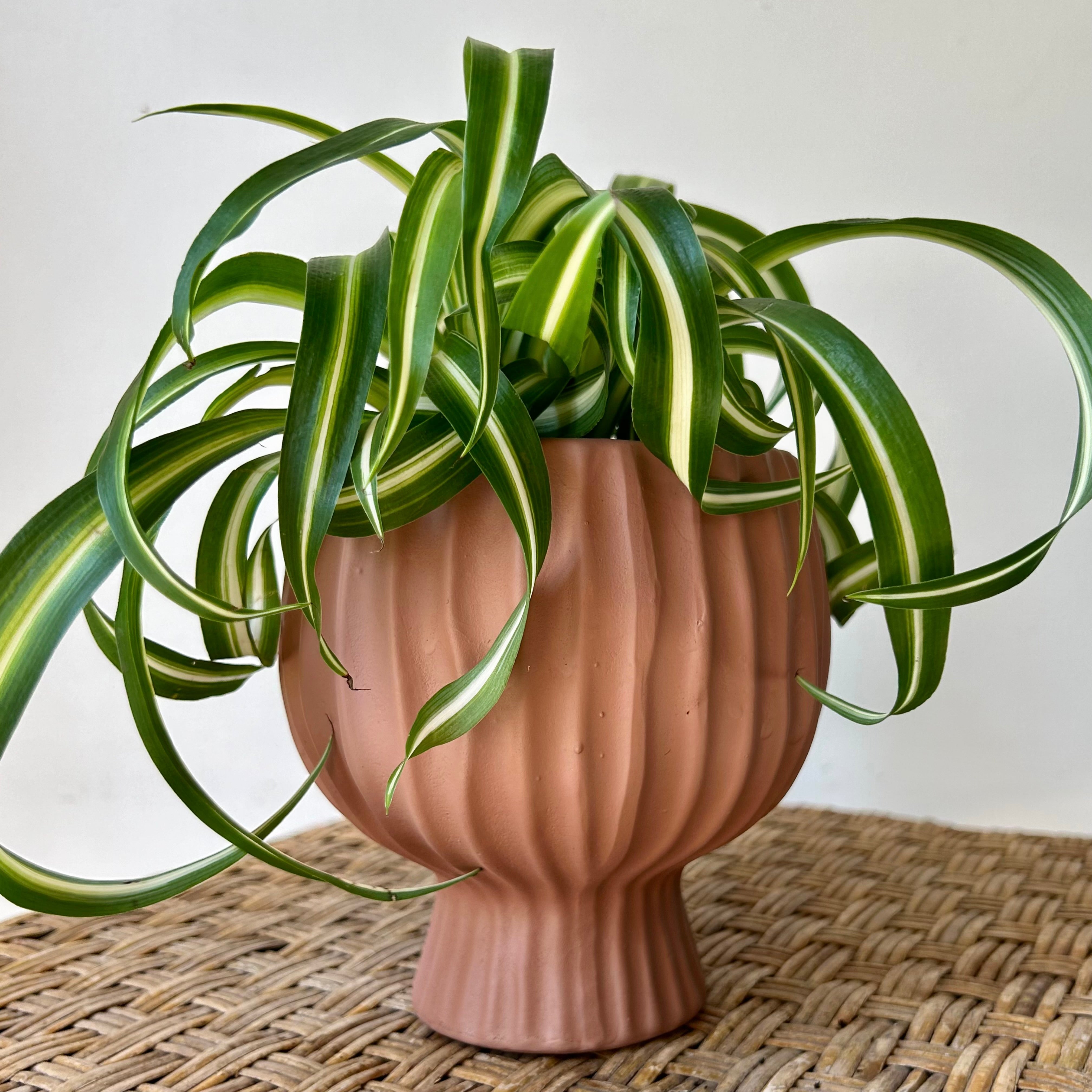 BRONWYN decorative ceramic pot w. Tapered base (4”X3)