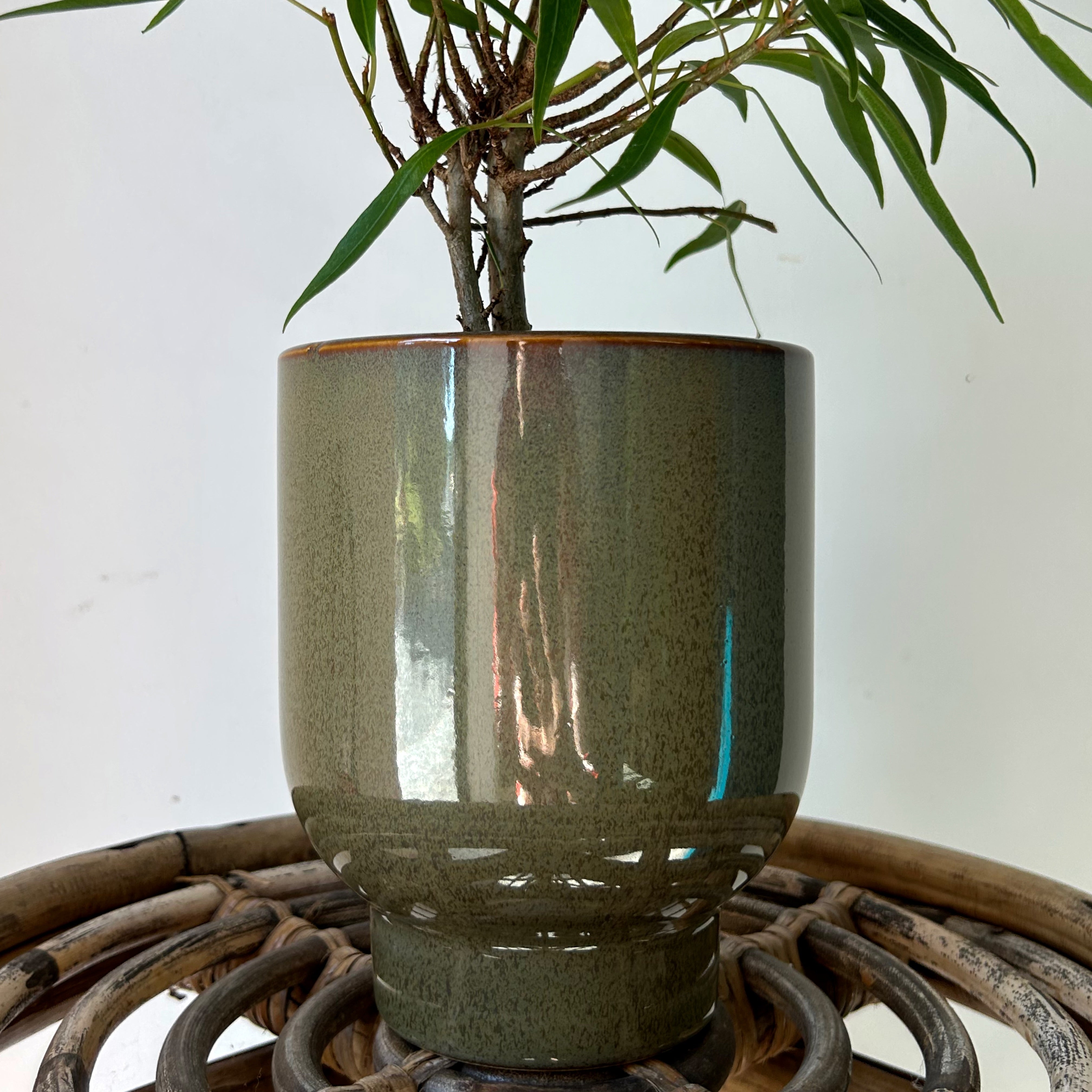 ELLIOT Glossy Modern Decorative Pot (Olive Green) 4.5"”x5.5”