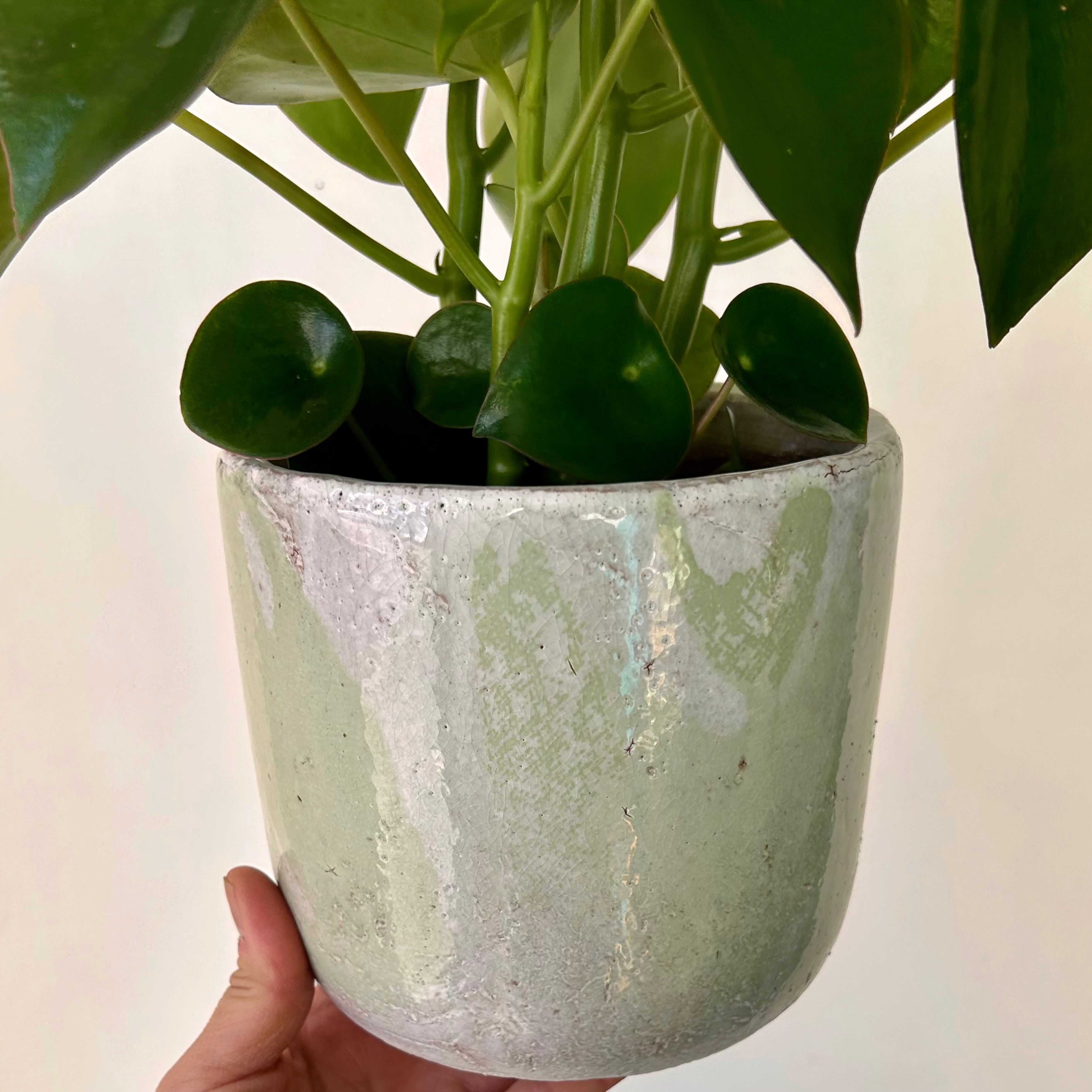 LUCA Decorative Ceramic Pot (5”x5) GREEN