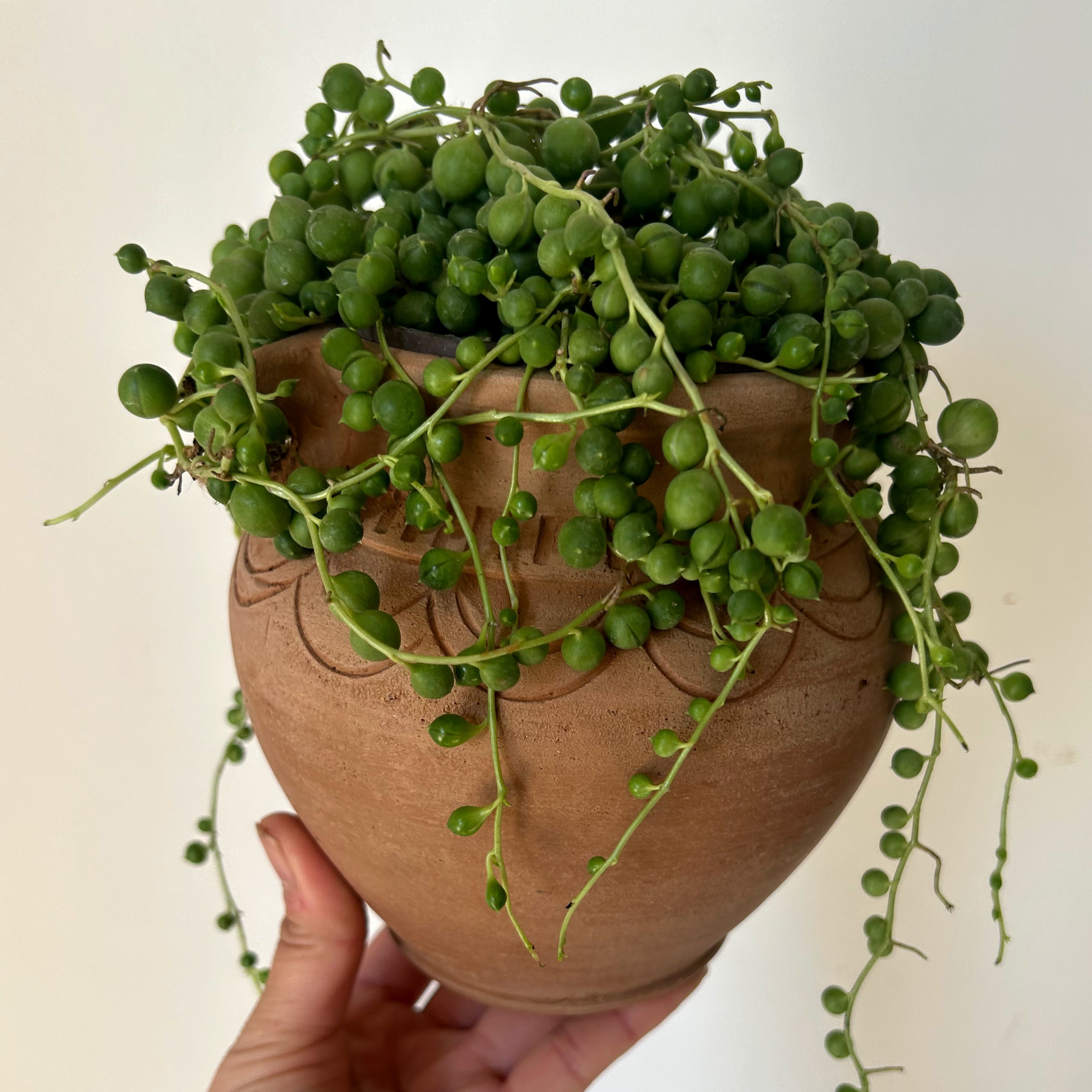 ARIZONA Decorative Clay Pot (3.5”x5.5”)