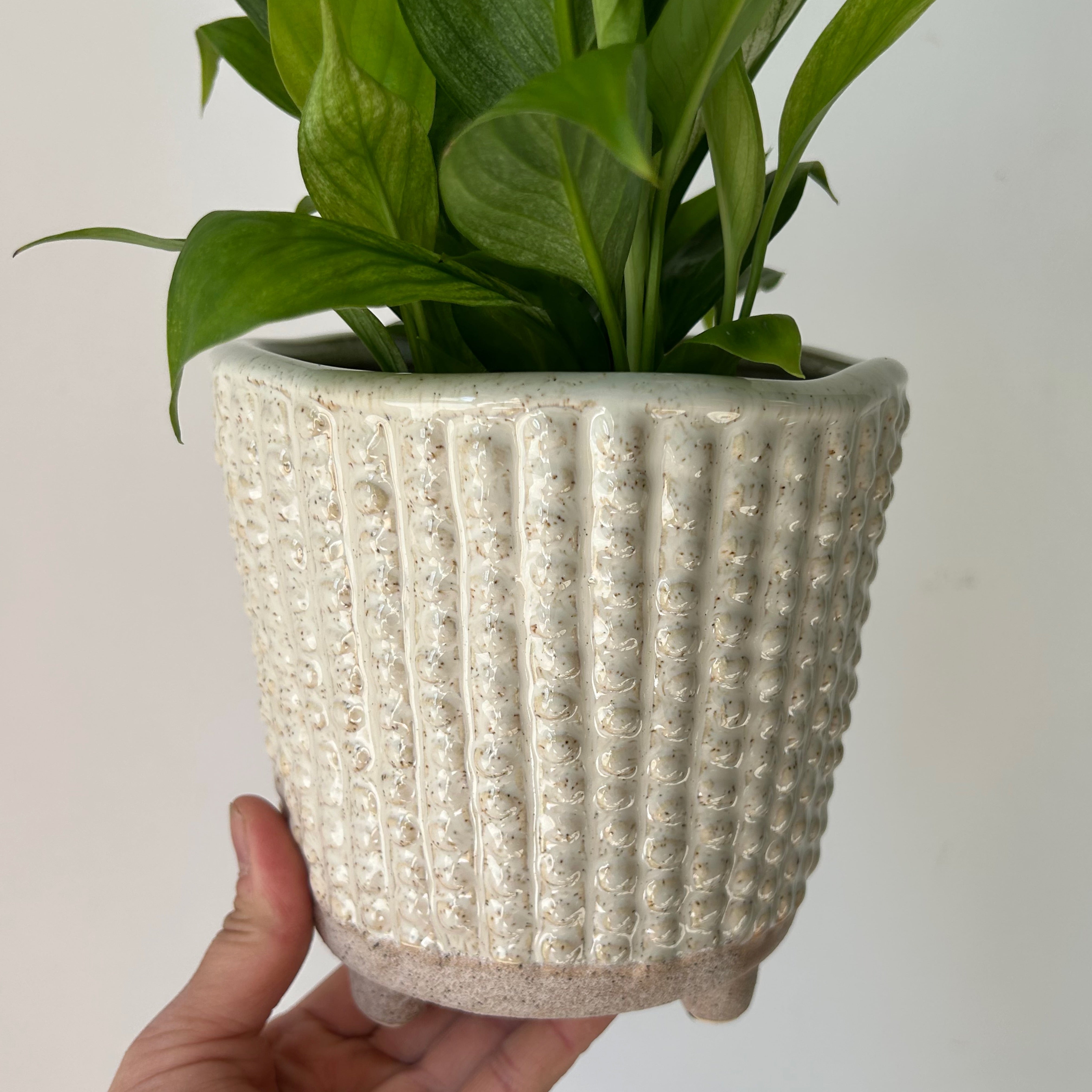 ELIAS Decorative Footed Pot ( 5"X5")