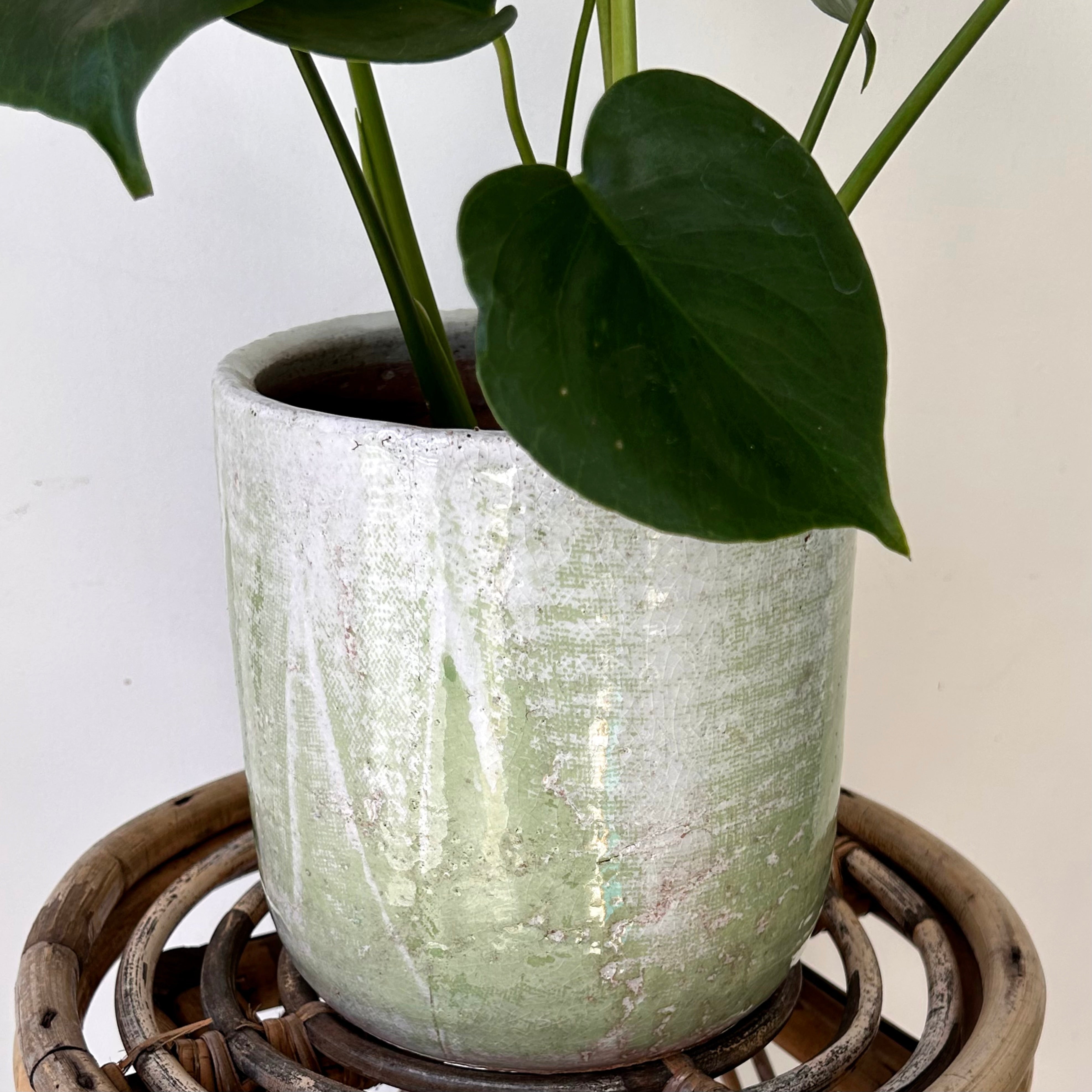 LUCA Decorative Ceramic Pot (6”x7”) GREEN