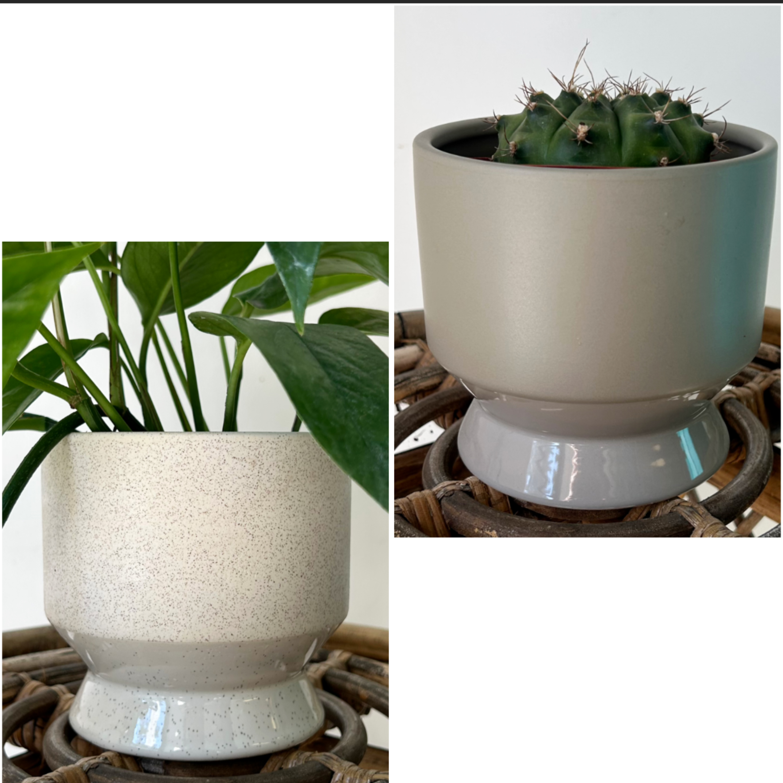 PASADENA Decorative Raised Pot (available in two colours)  4.5”x5”