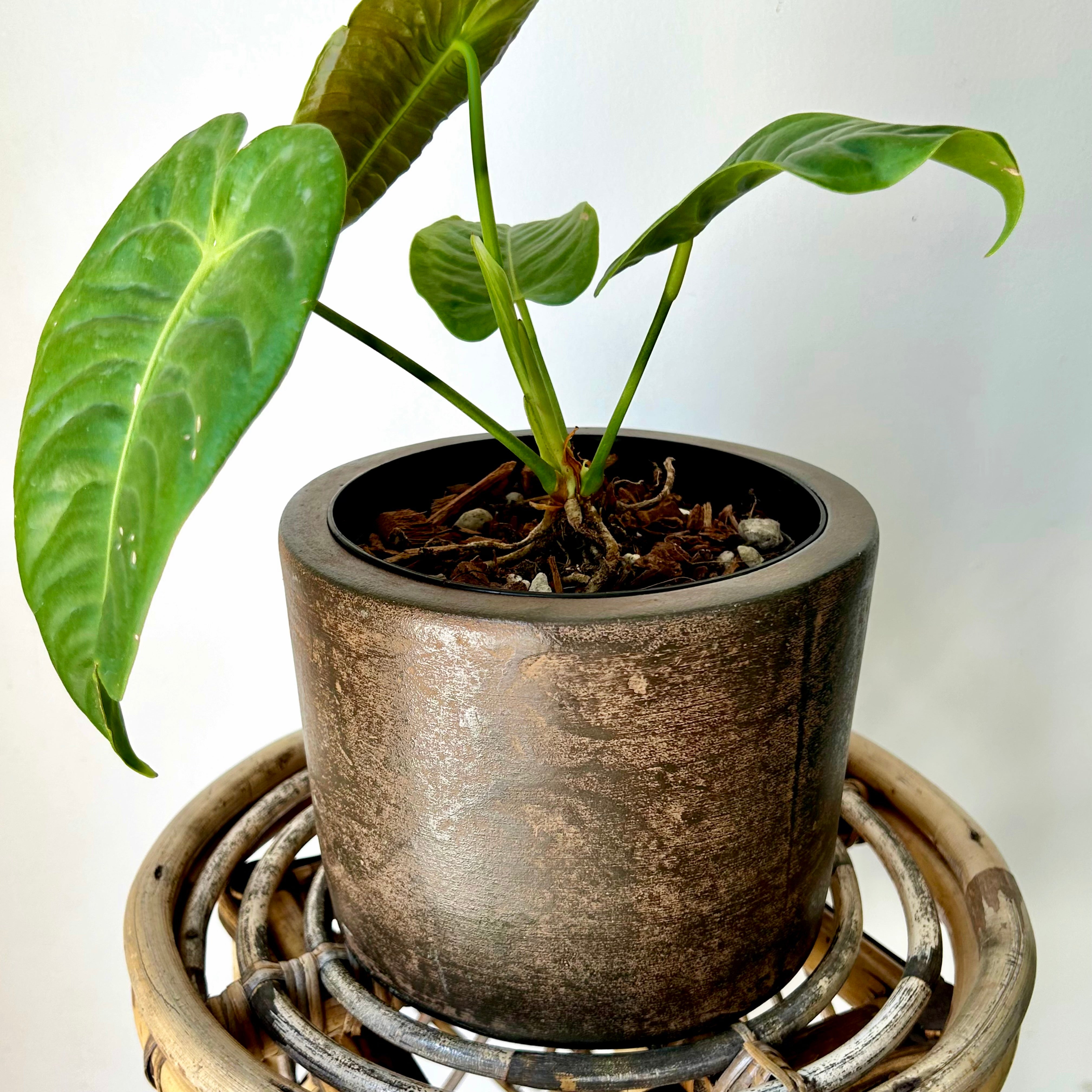 ARTURO Planter COPPER