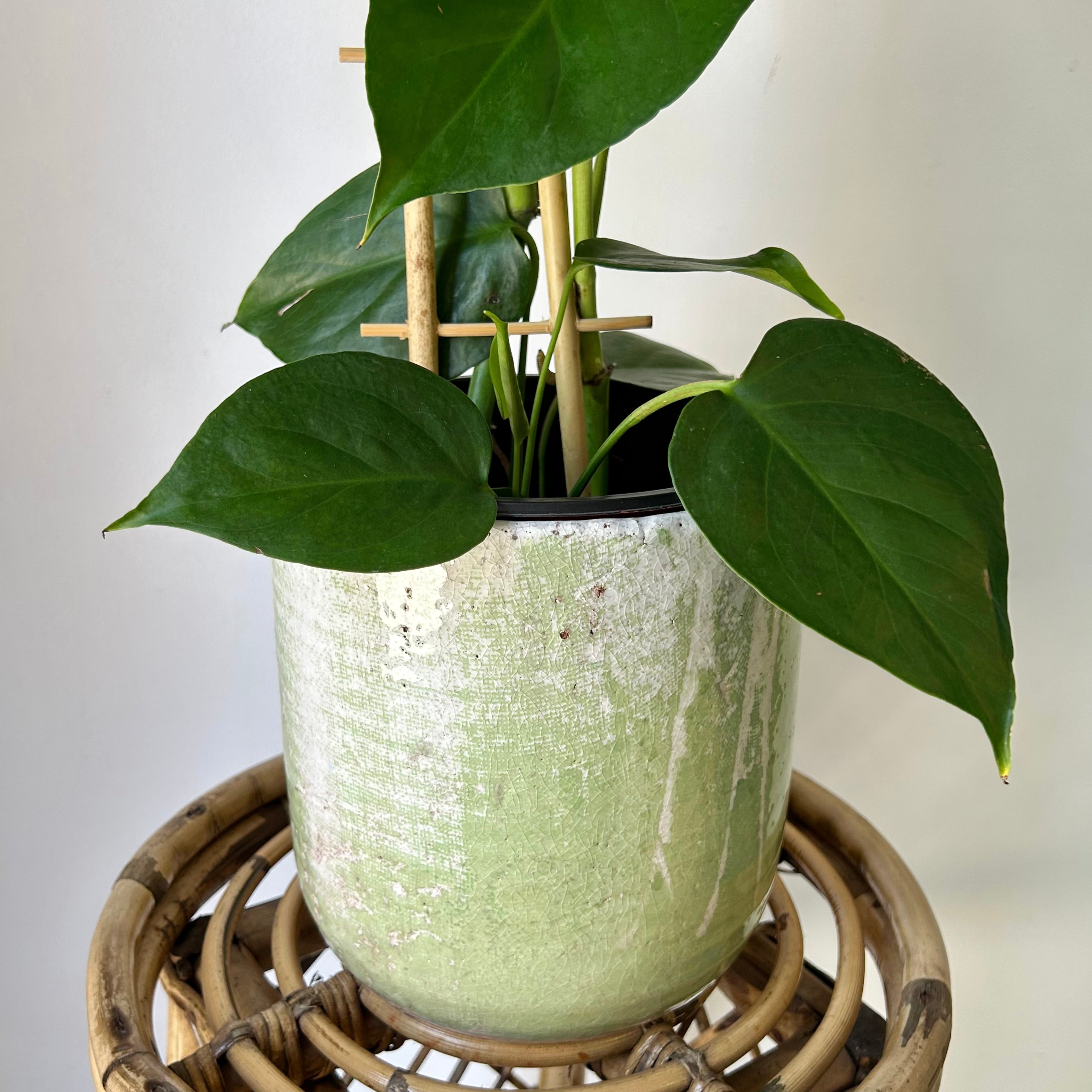 LUCA Decorative Ceramic Pot (6”x7”) GREEN